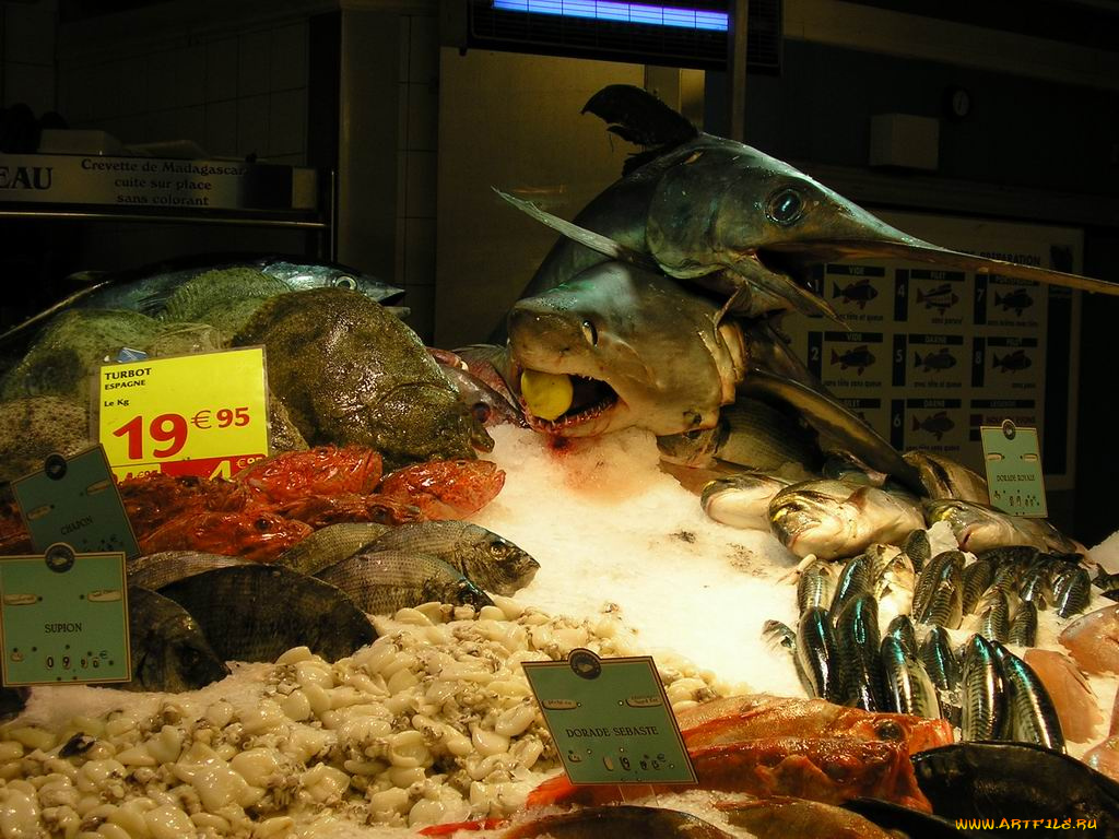 морские, деликатесы, еда, рыба, морепродукты, суши, роллы