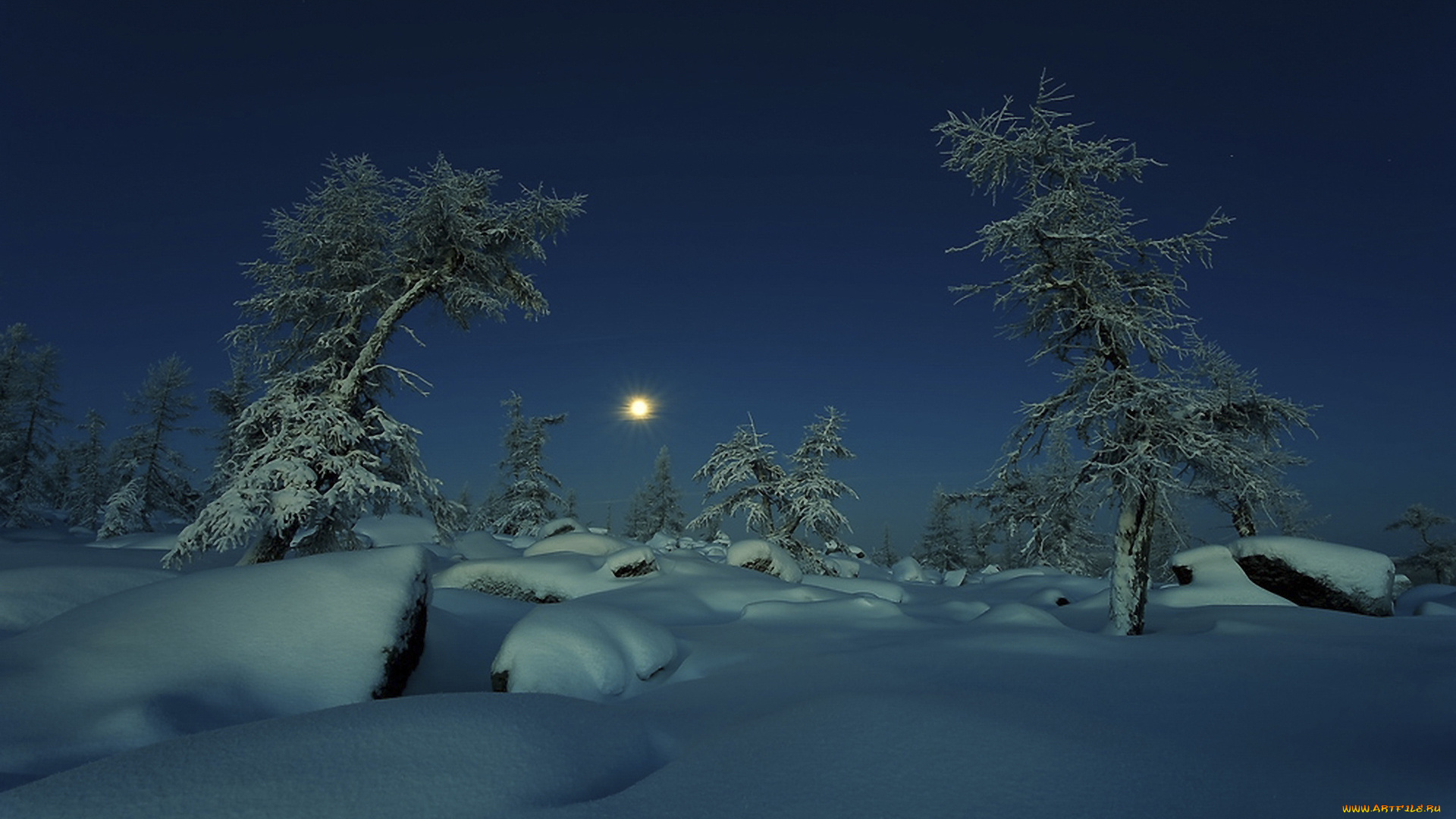 природа, зима, ночь, луна, снег, деревья