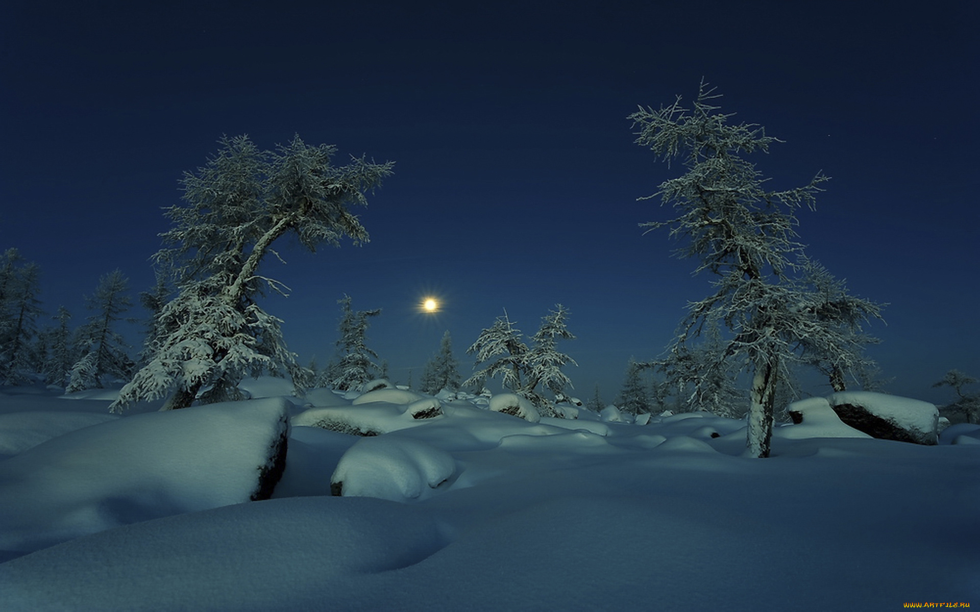 природа, зима, ночь, луна, снег, деревья