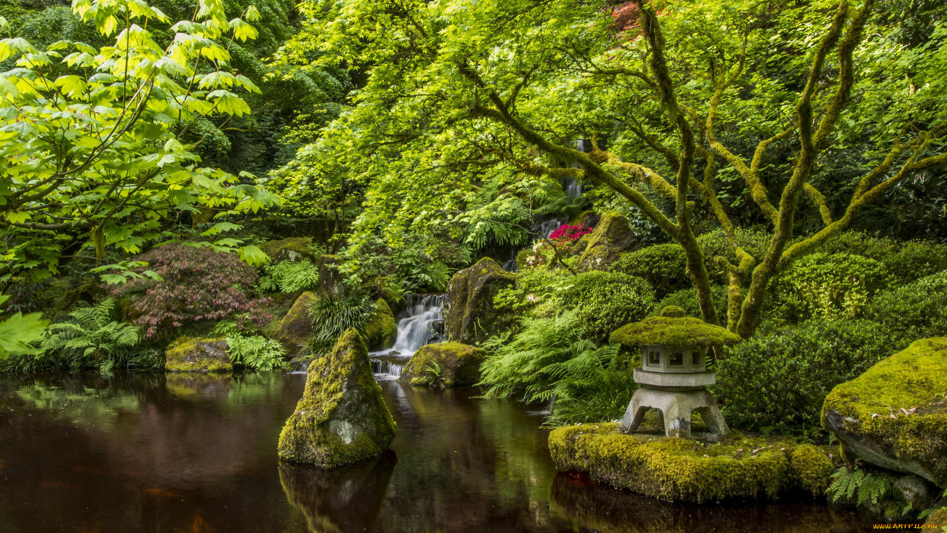 природа, парк, портлендский, Японский, сад, портленд, орегон, portland, japanese, garden
