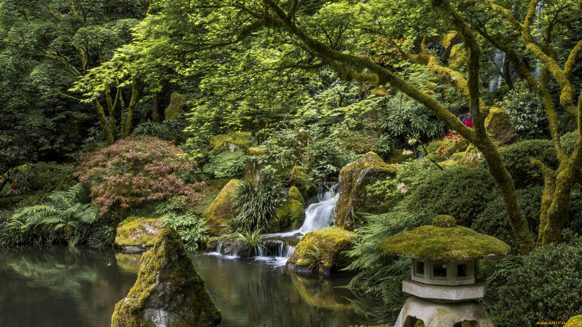 природа, парк, портлендский, Японский, сад, portland, japanese, garden, орегон, портленд