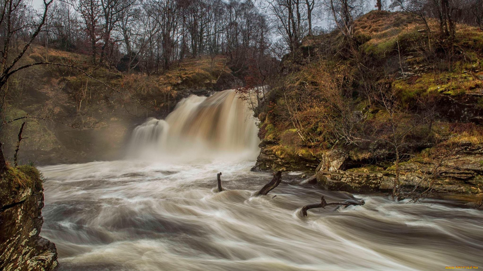 природа, водопады, лес, река, водопад