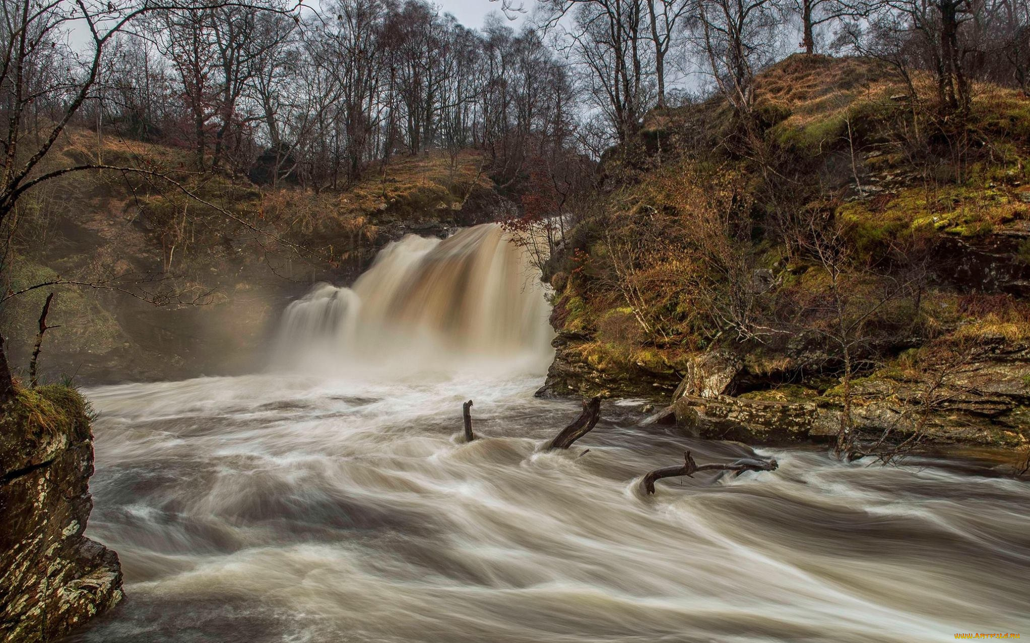 природа, водопады, лес, река, водопад