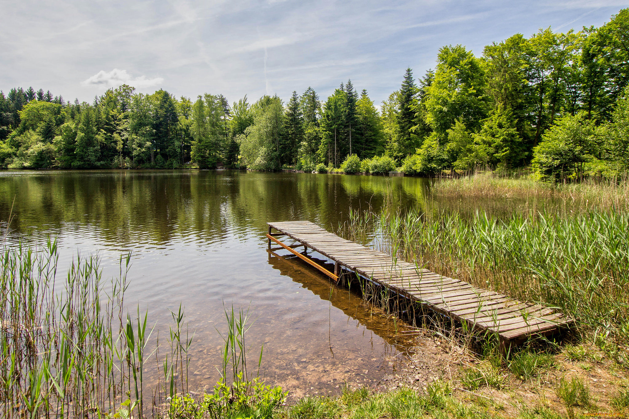 природа, реки, озера, лес, река