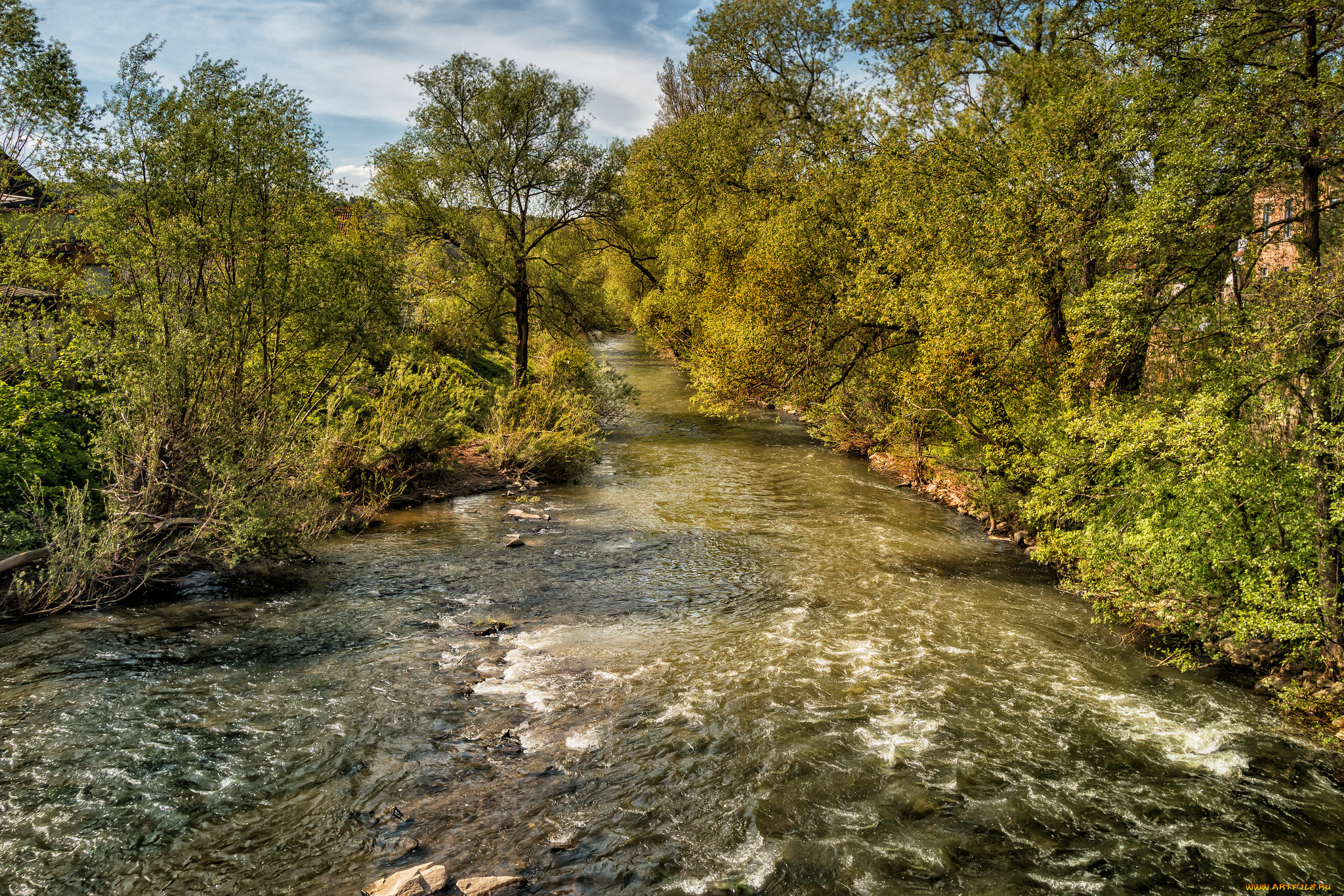 природа, реки, озера, река, лес