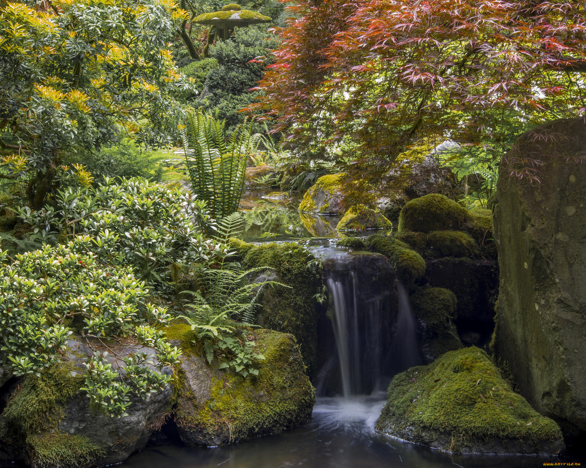 природа, парк, portland, japanese, garden, орегон, портлендский, Японский, сад, портленд