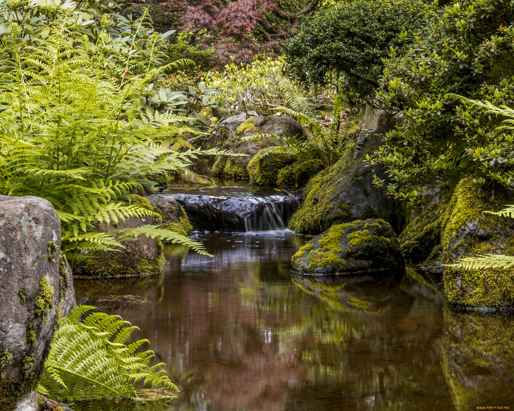 природа, парк, portland, japanese, garden, орегон, портленд, портлендский, Японский, сад