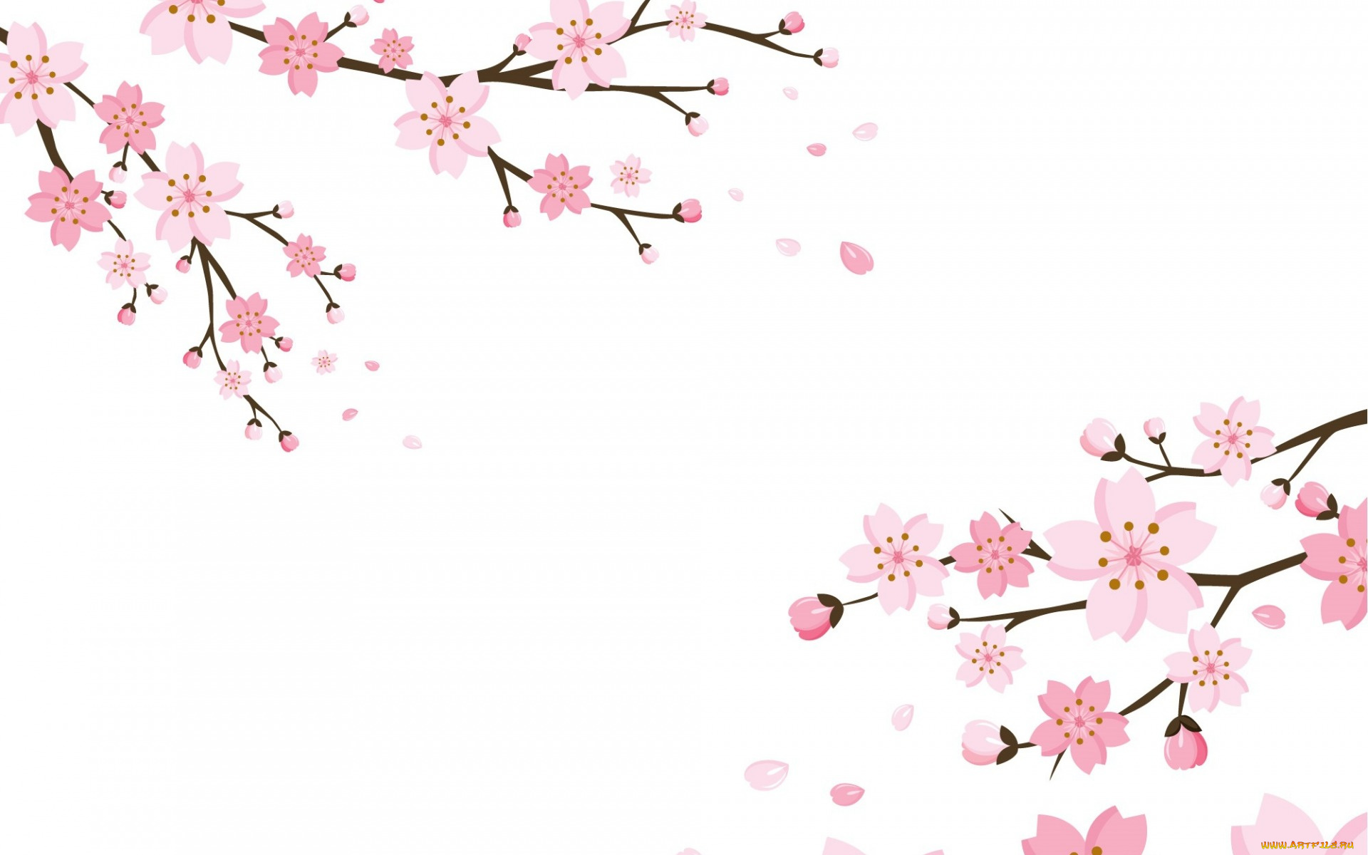 векторная, графика, цветы, , flowers, цветки, blossom, background, cherry, текстура, фон