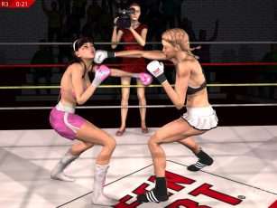Картинка 3д+графика спорт+ sport фон взгляд бокс ринг девушки
