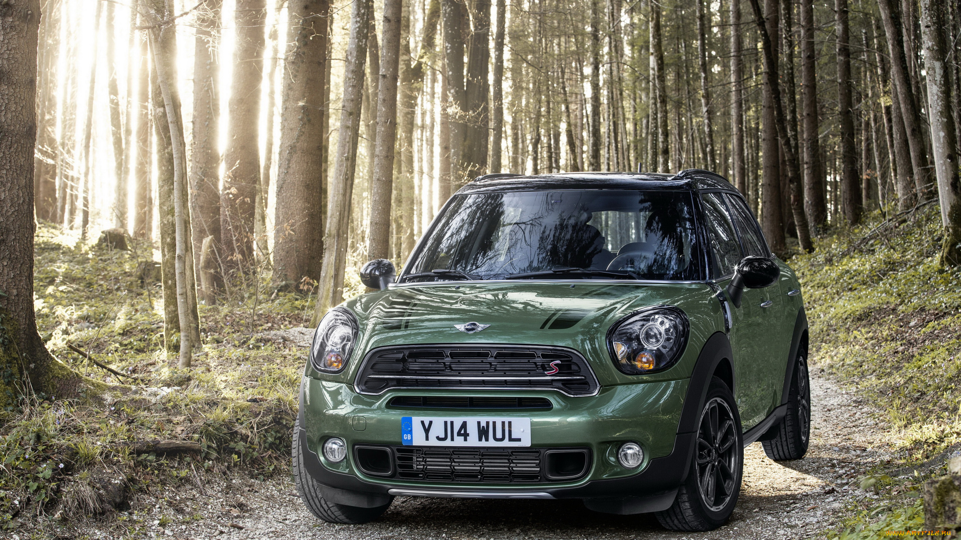 2014, mini, countryman, cooper, sd, автомобили, mini, металлик, лес, зеленый, cooper, countryman