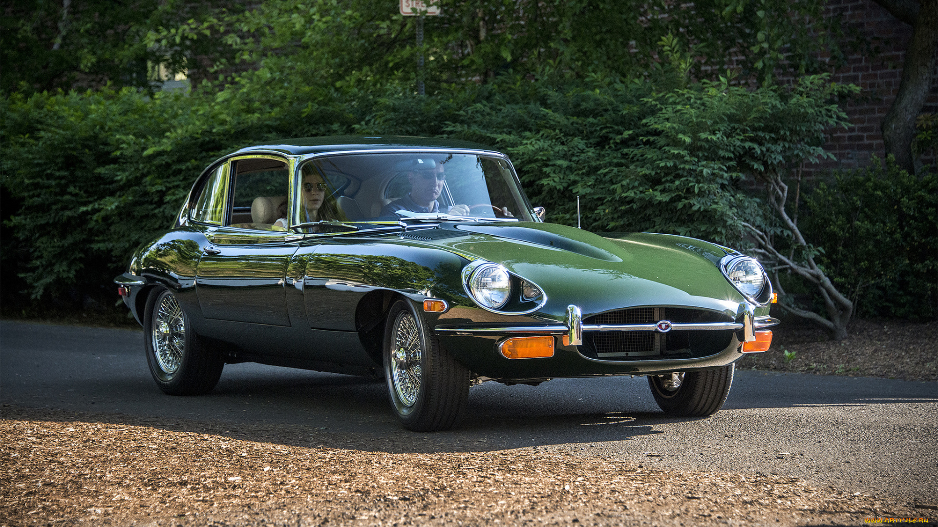 jaguar, e-type, 2, 2, автомобили, jaguar, автопробег, выставка, автошоу