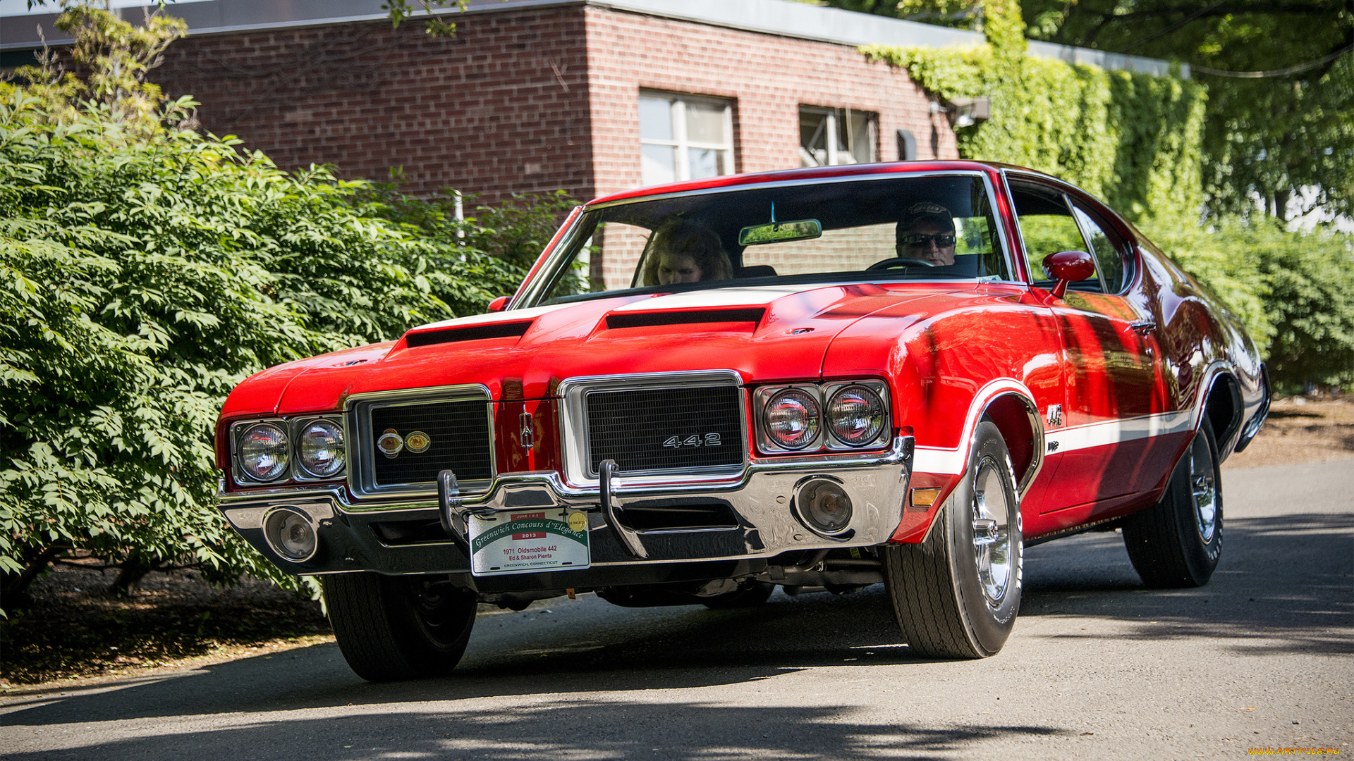 oldsmobile, 442, , 1971, автомобили, oldsmobile, автопробег, выставка, автошоу