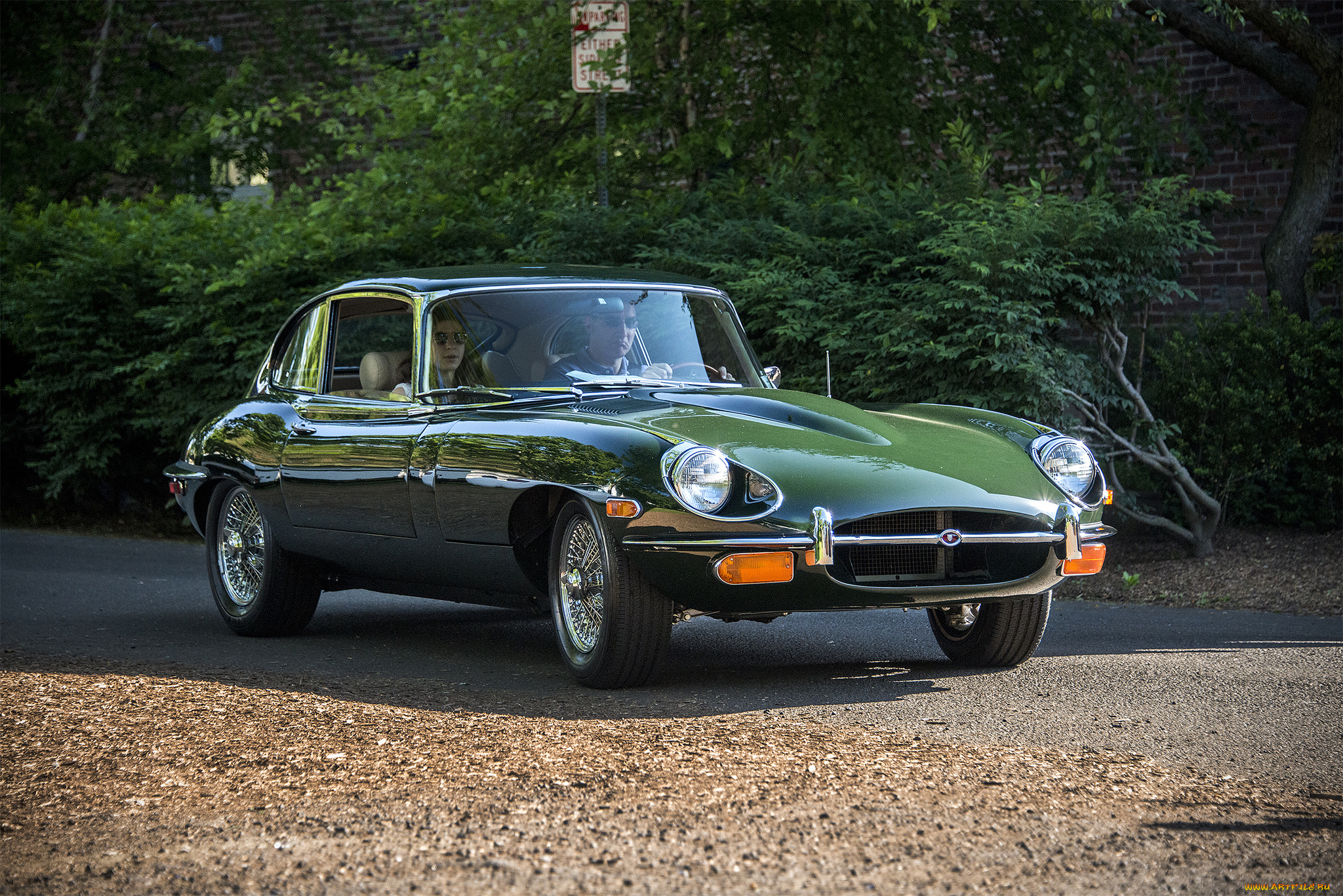 jaguar, e-type, 2, 2, автомобили, jaguar, автопробег, выставка, автошоу