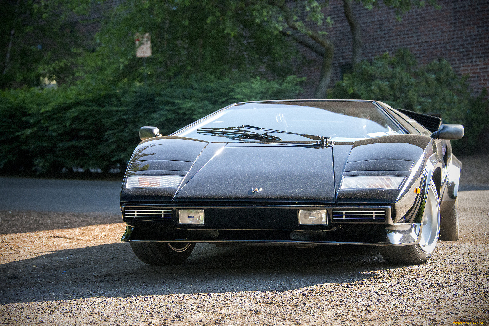 lamborghini, countach, автомобили, lamborghini, автопробег, выставка, автошоу