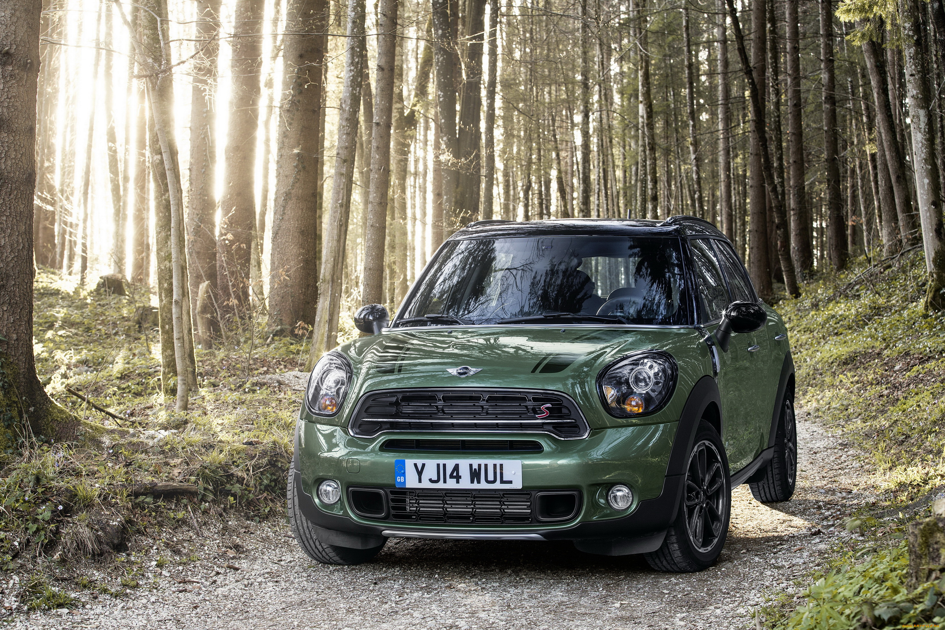 2014, mini, countryman, cooper, sd, автомобили, mini, металлик, лес, зеленый, cooper, countryman