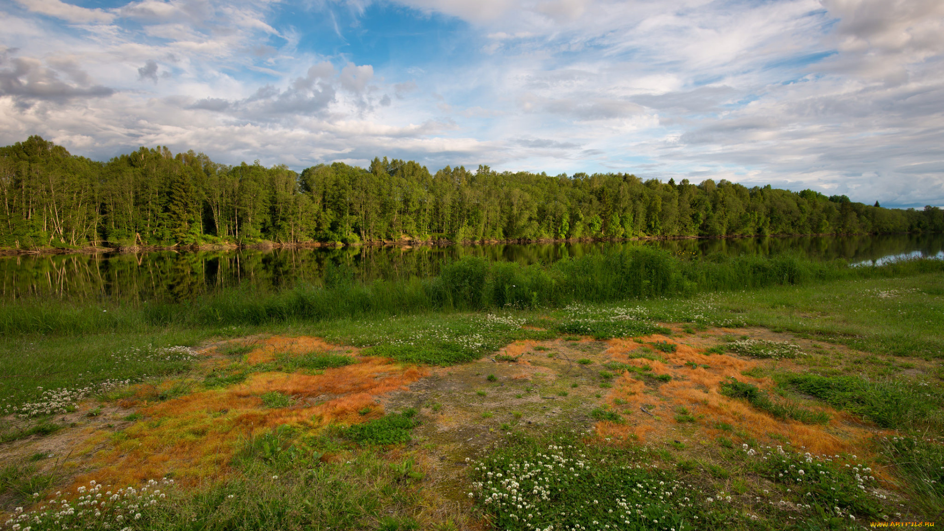 природа, реки, озера, река, лес