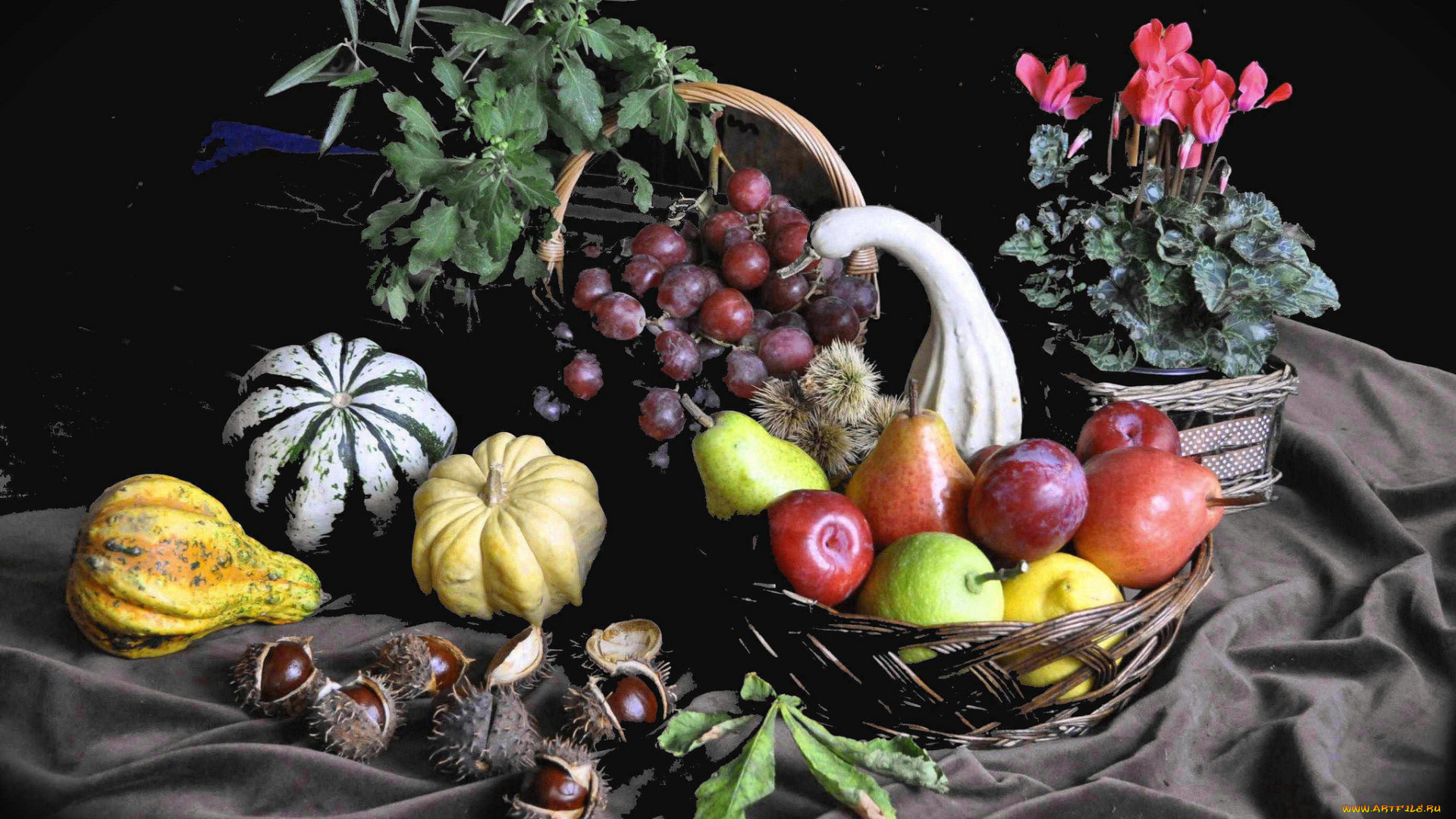 еда, натюрморт, фрукты, овощи, цветы