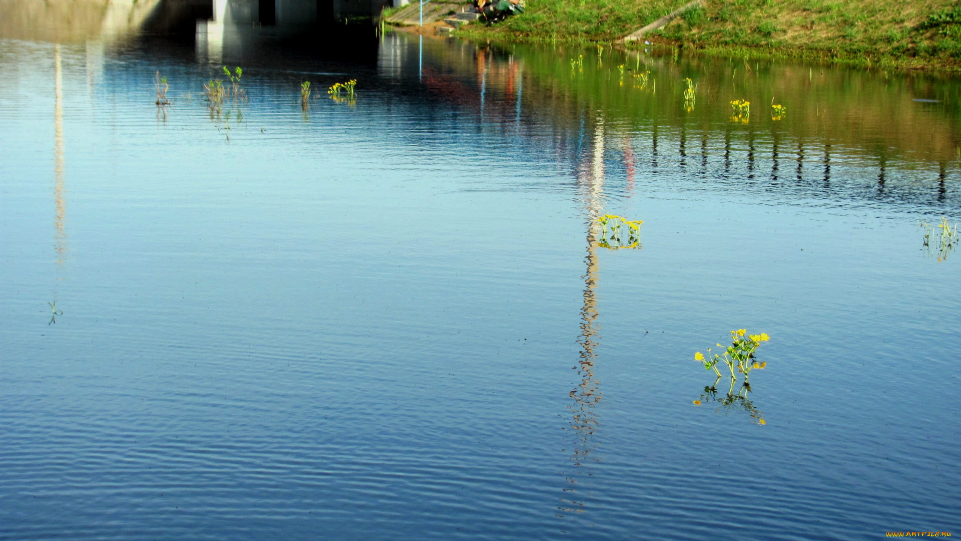 природа, реки, озера, вода