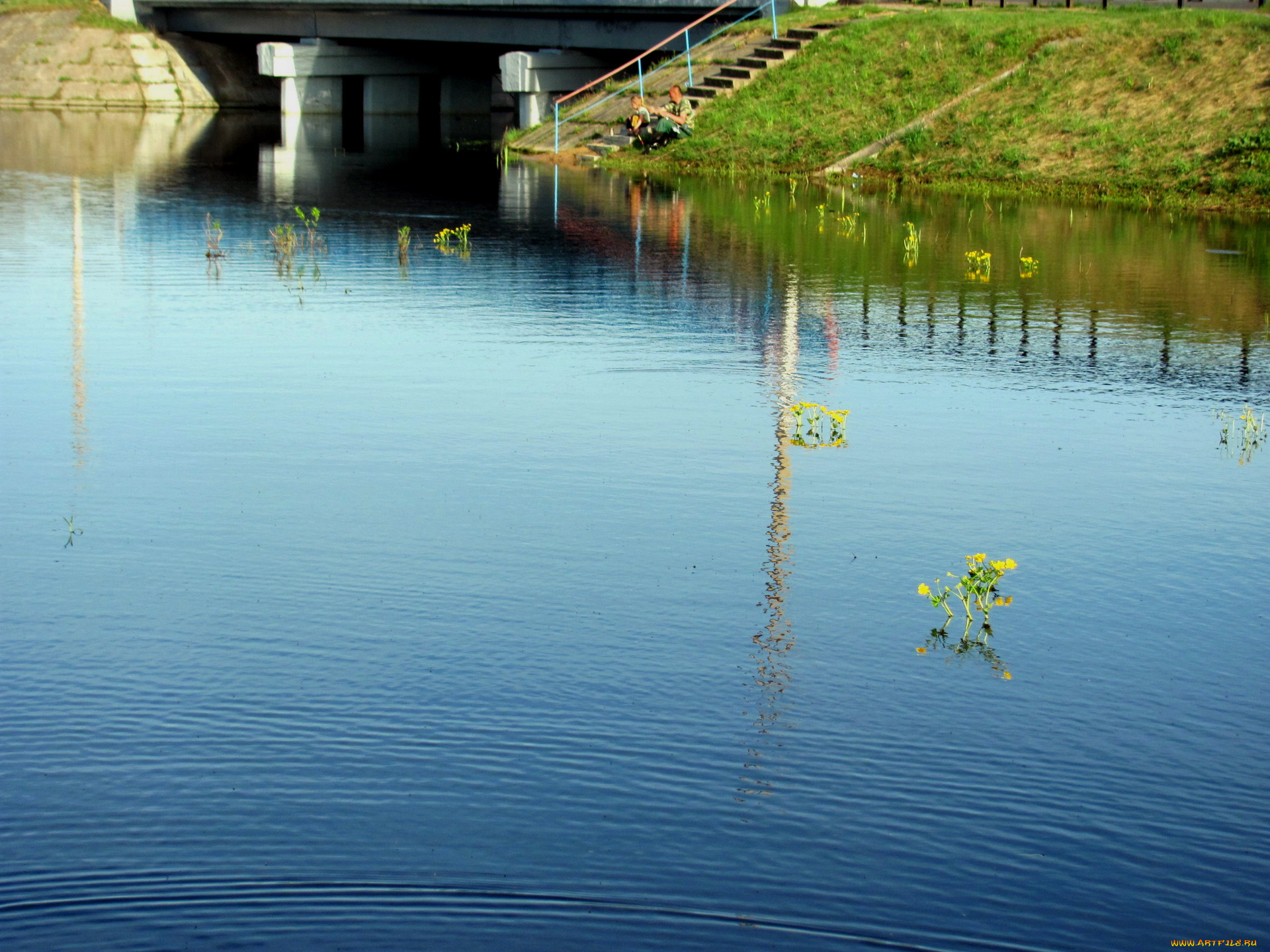 природа, реки, озера, вода