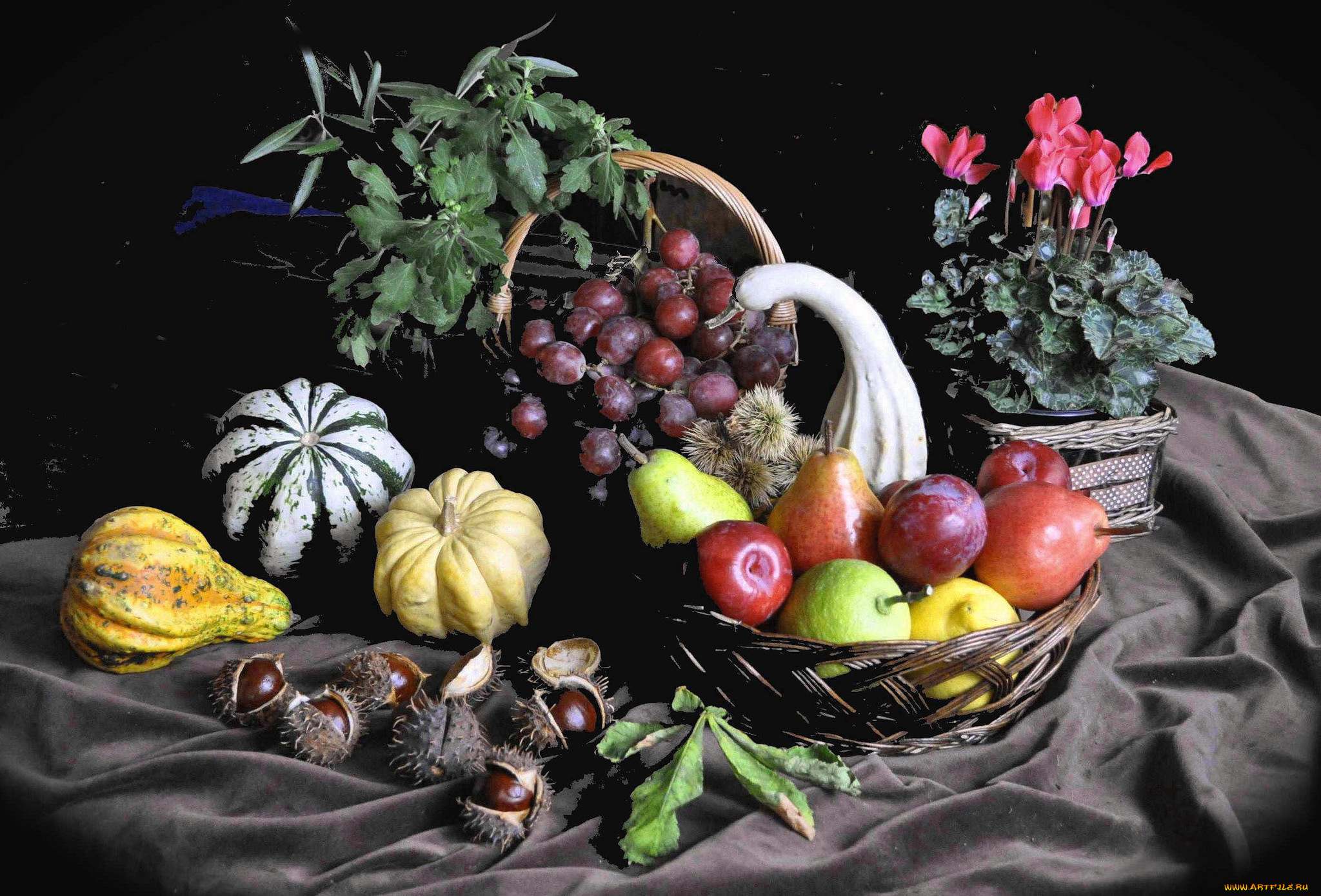 еда, натюрморт, фрукты, овощи, цветы