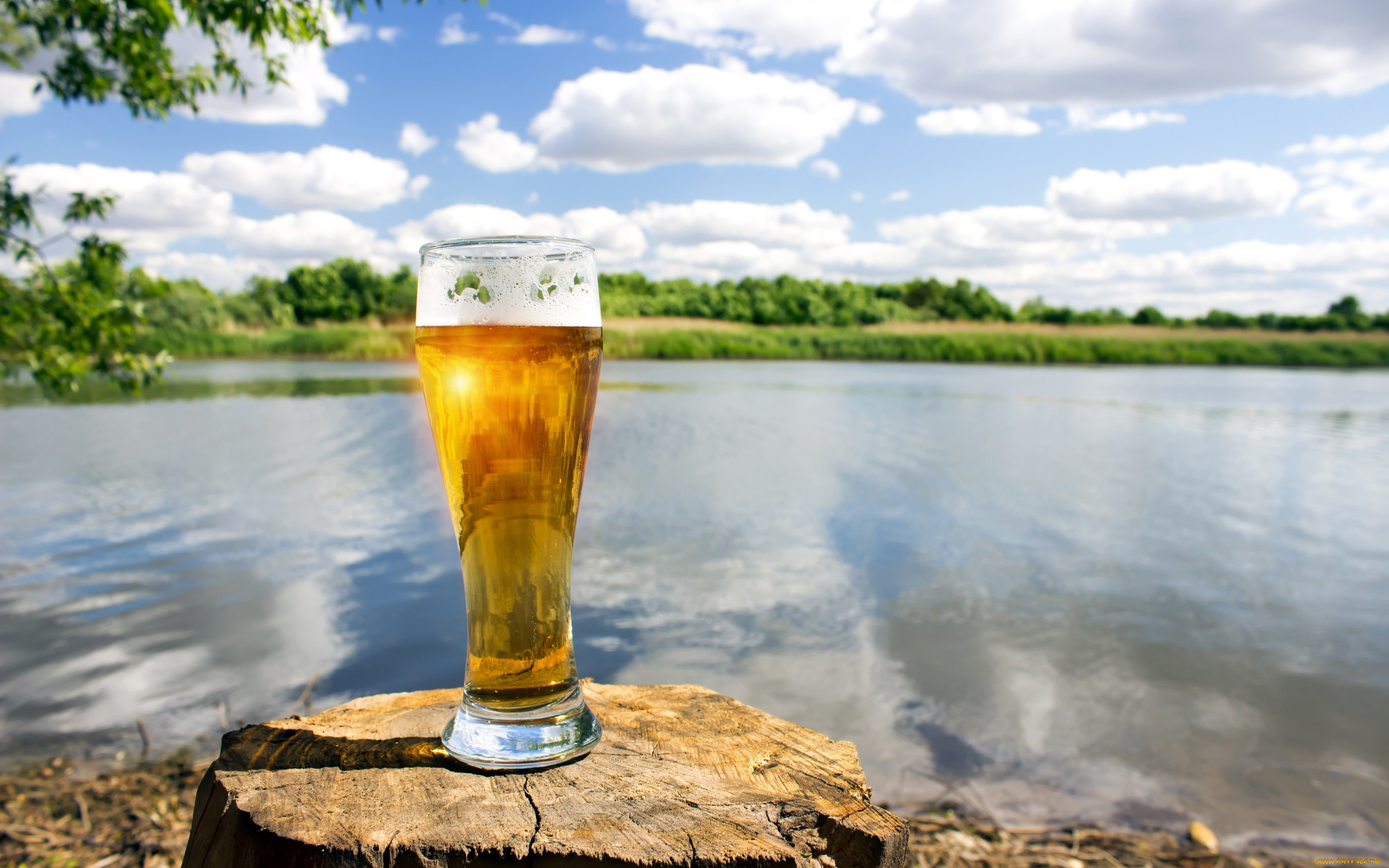 еда, напитки, , пиво, пейзаж, стакан, пень, берег, боке, зелень, настроение, облака, лето, солнце, небо, река, пиво