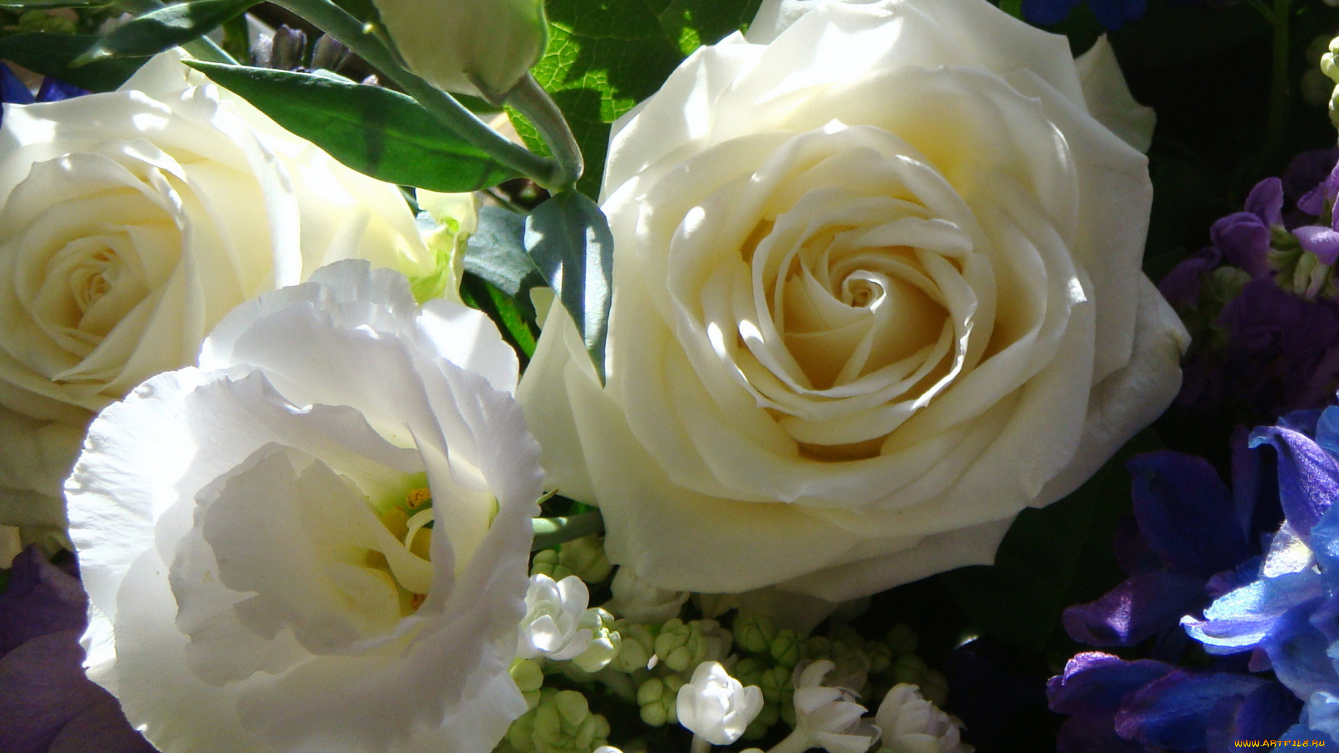 цветы, разные, вместе, эустома, белые, розы, букет