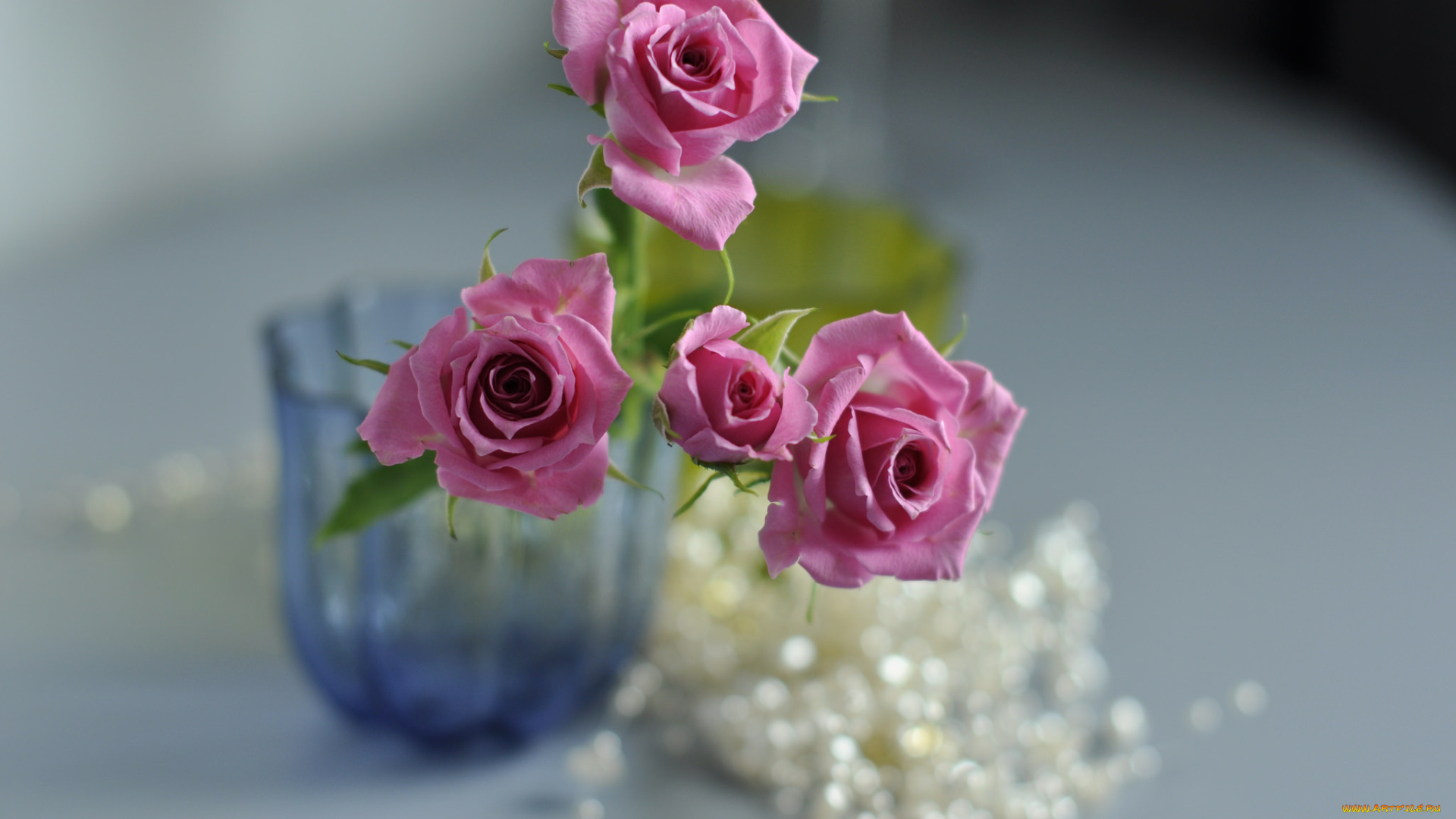 цветы, розы, розовые, ваза