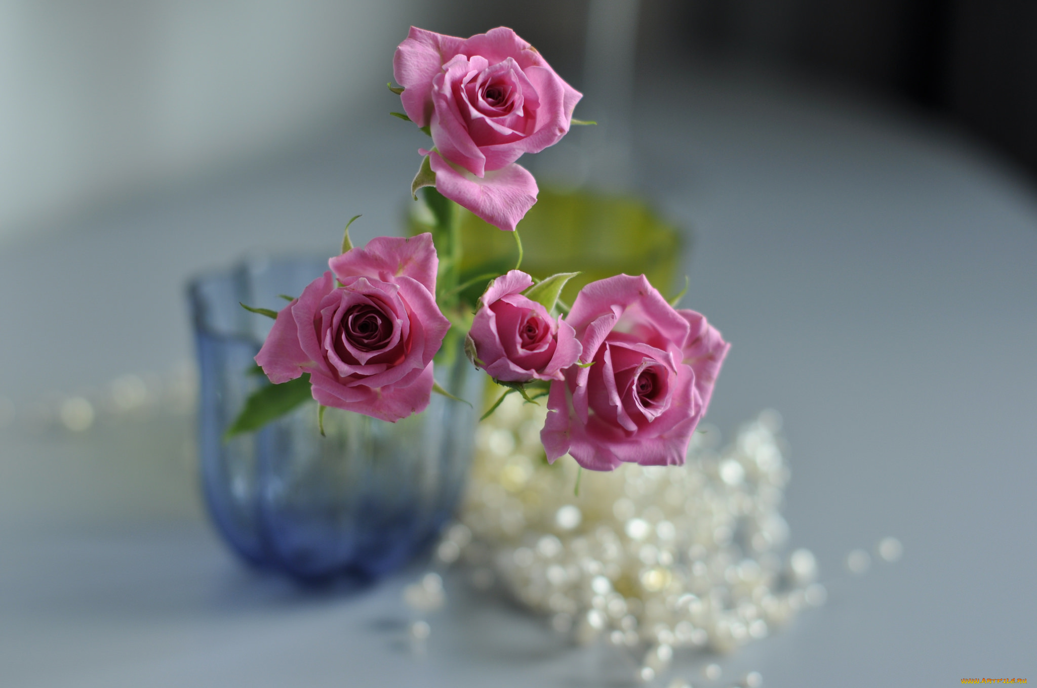цветы, розы, розовые, ваза