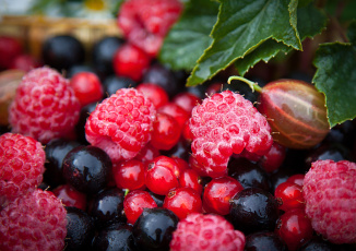 Картинка еда фрукты +ягоды крыжовник клубника смородина малина