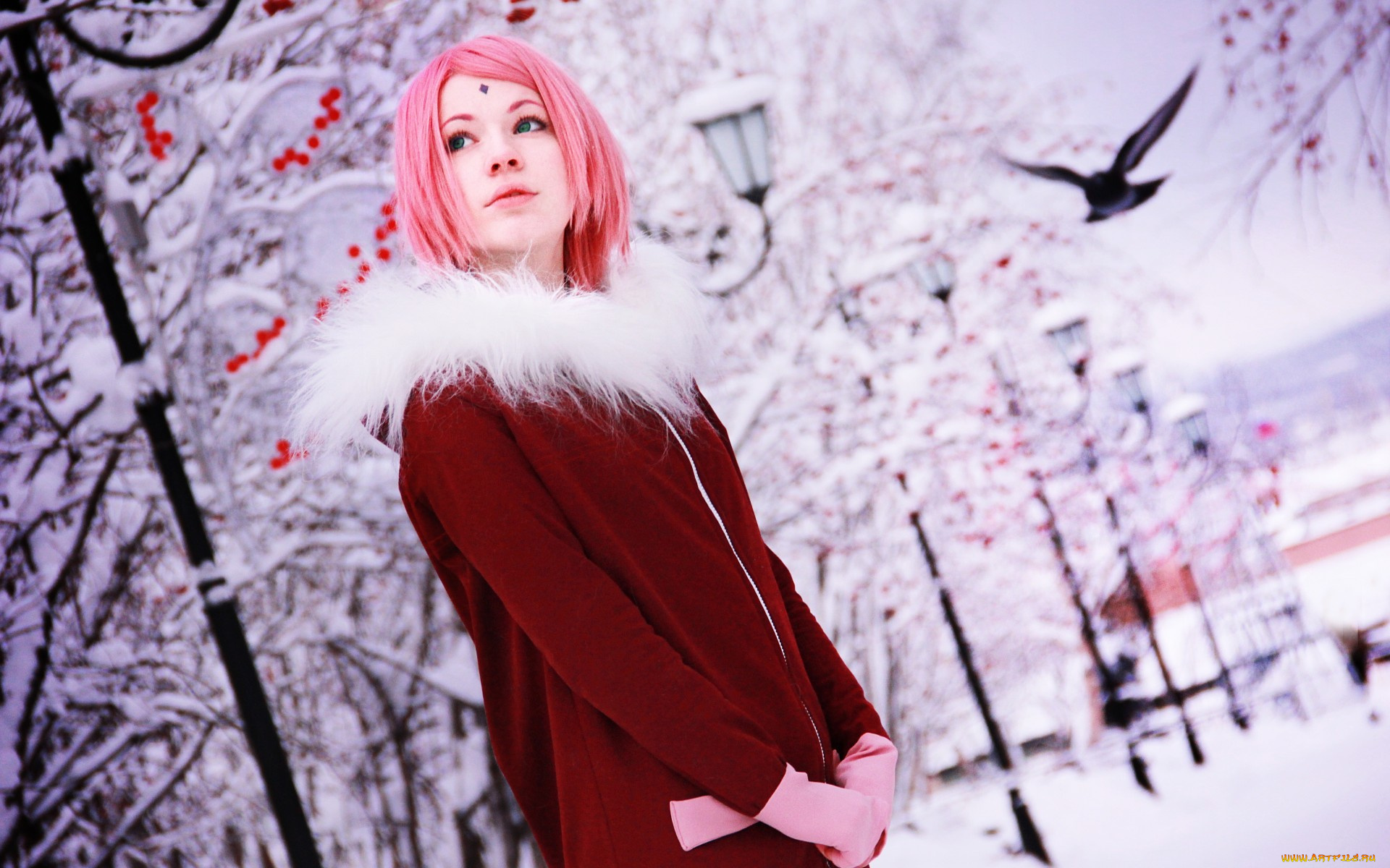 девушки, -unsort, , креатив, рябина, снег, зима, sakura, haruno, naruto, cosplay, seliverstova, ксения, селиверстова