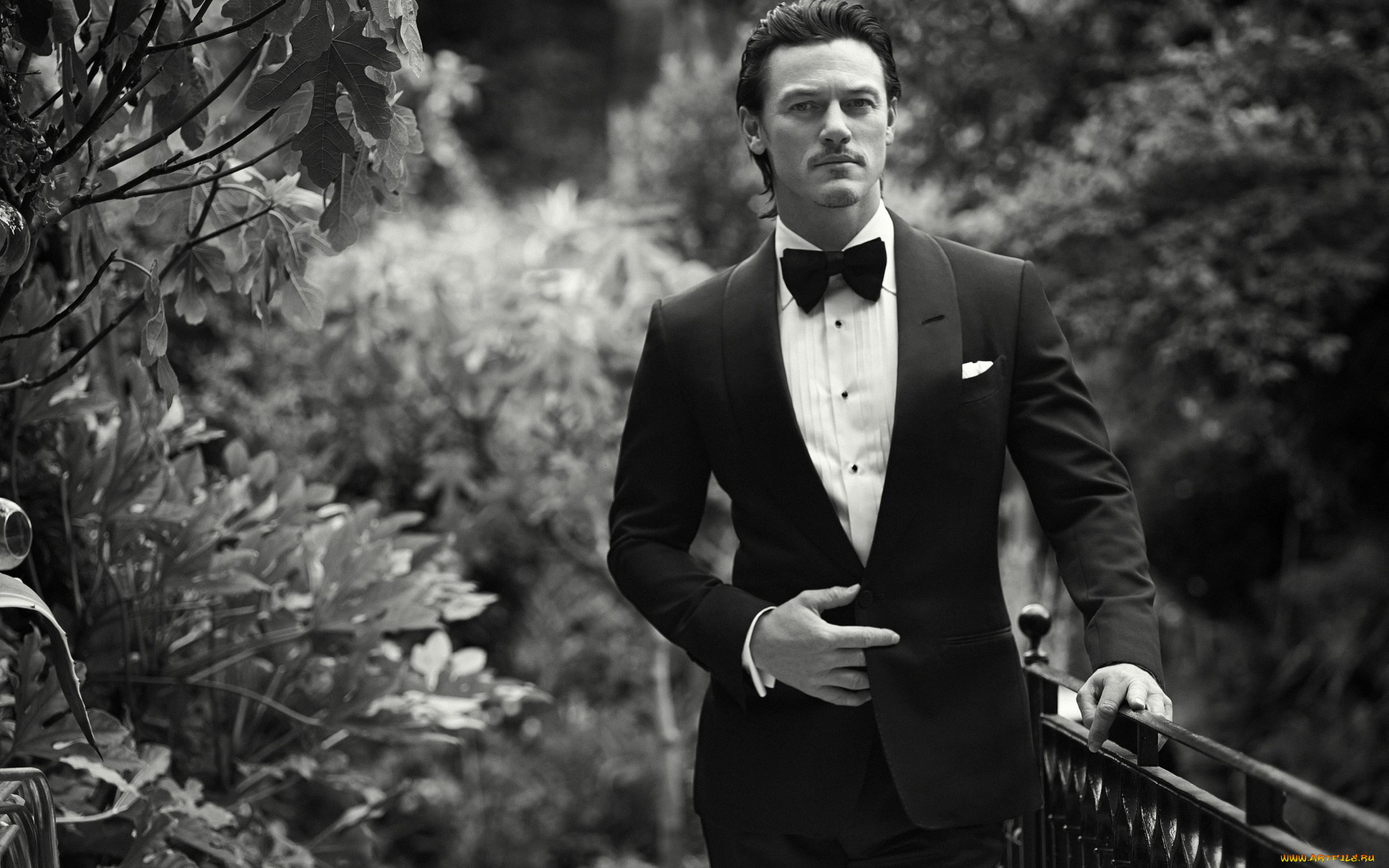 мужчины, luke, evans, бабочка, костюм, luke, evans, мужчина, люк, эванс