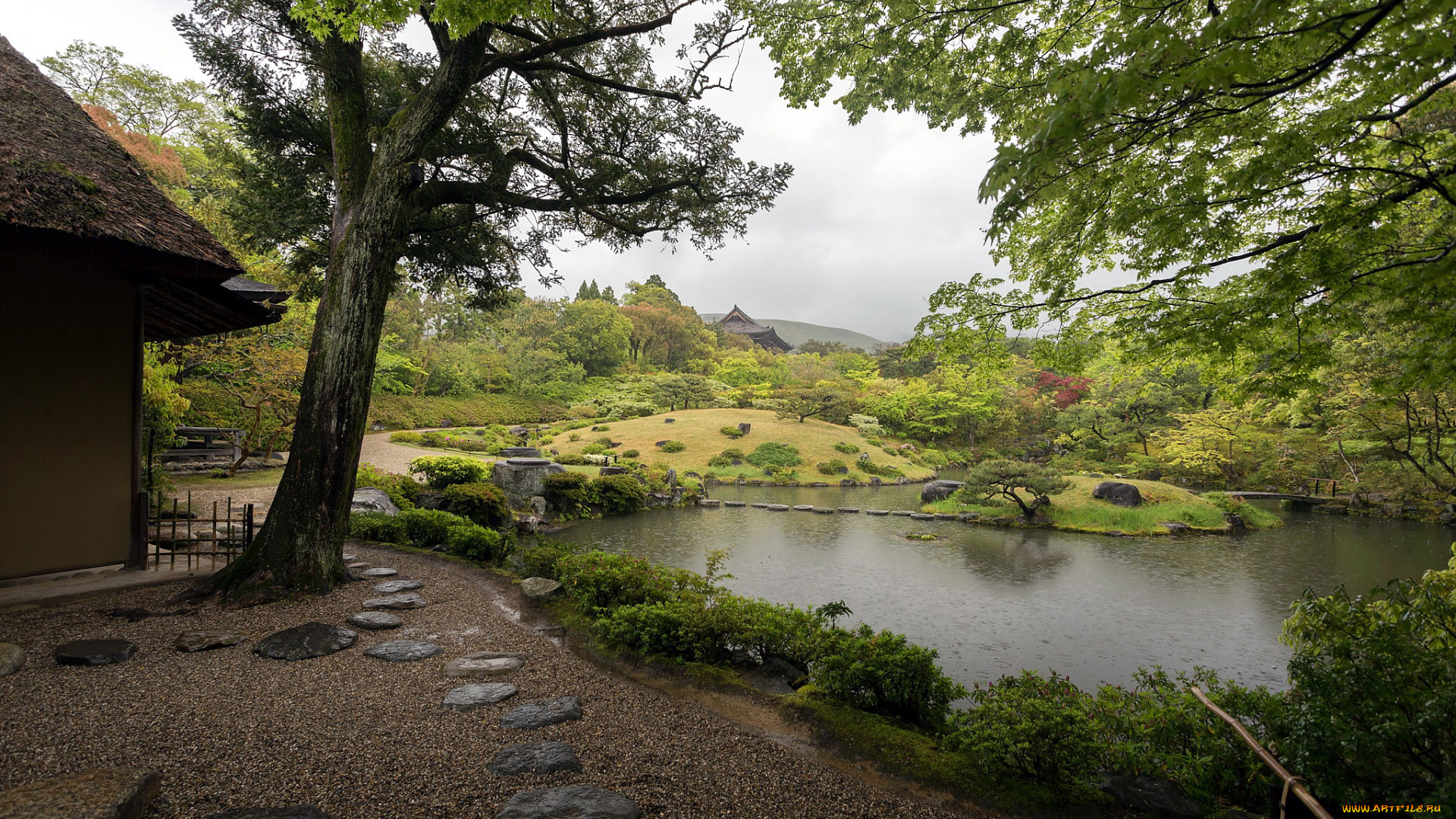 природа, парк, японский, пруд, садик