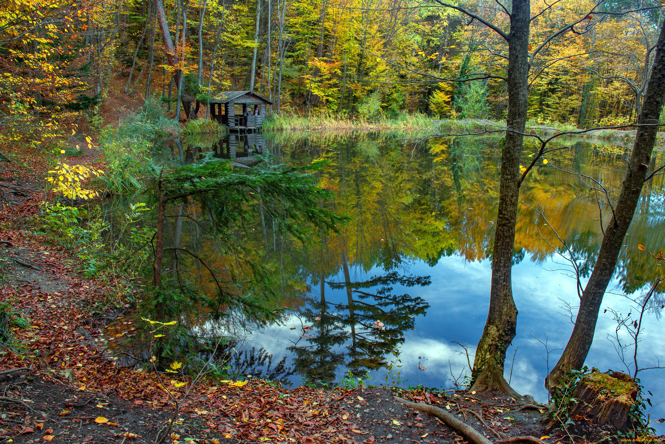 природа, реки, озера, листопад, осень