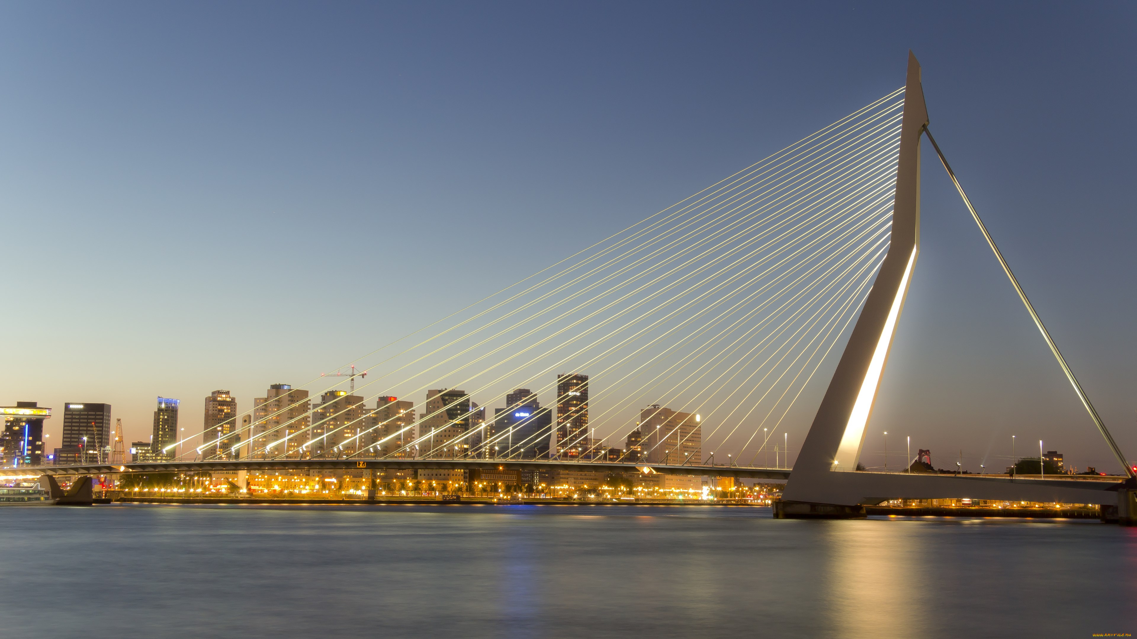 the, erasmus, bridge, in, rotterdam, , netherlands, города, -, мосты, здания, дома, река, огни, мост