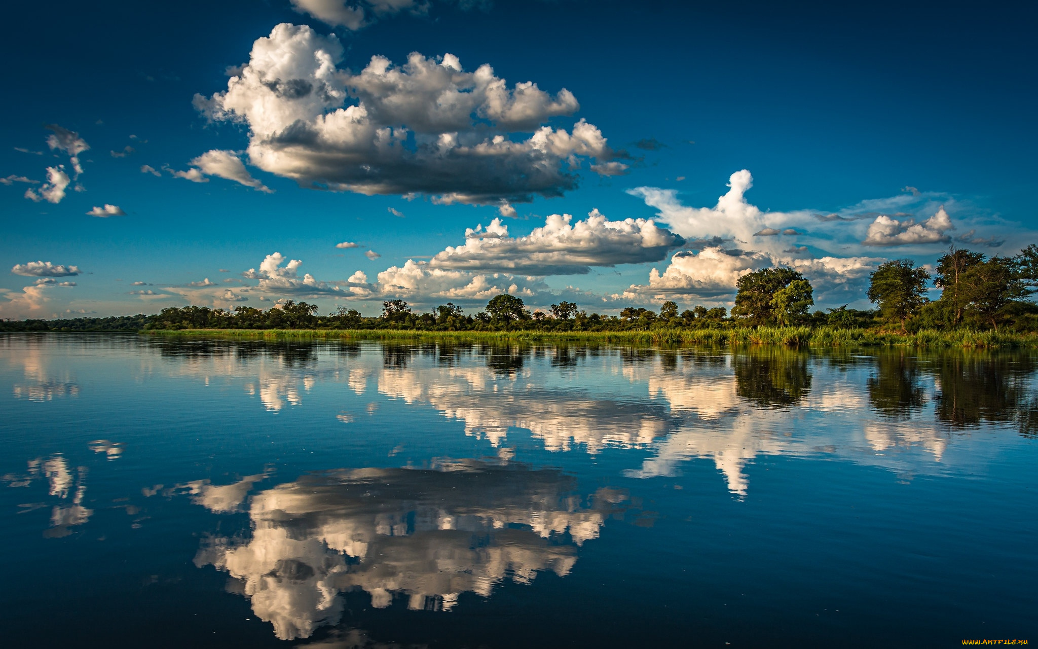 the, okavango, river, africa, природа, реки, озера, the, okavango, river