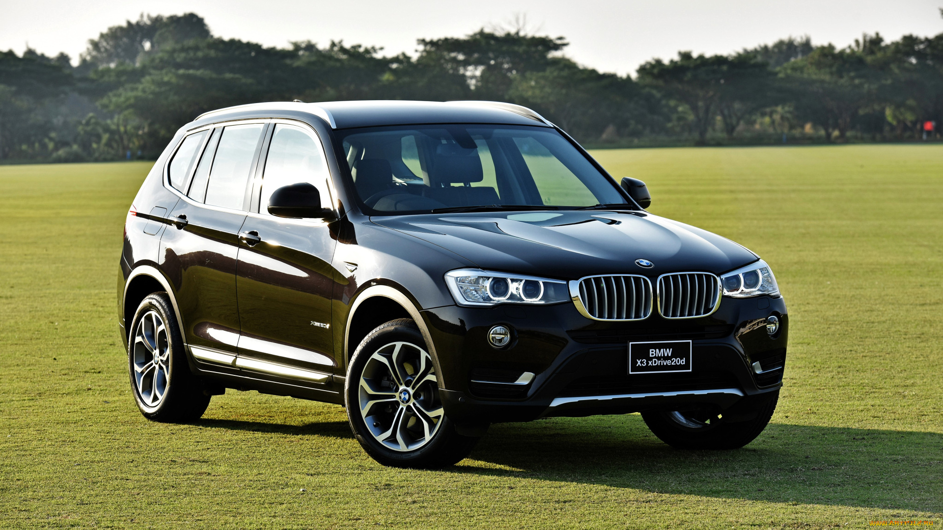 bmw, x3, автомобили, bmw, черный, лужайка