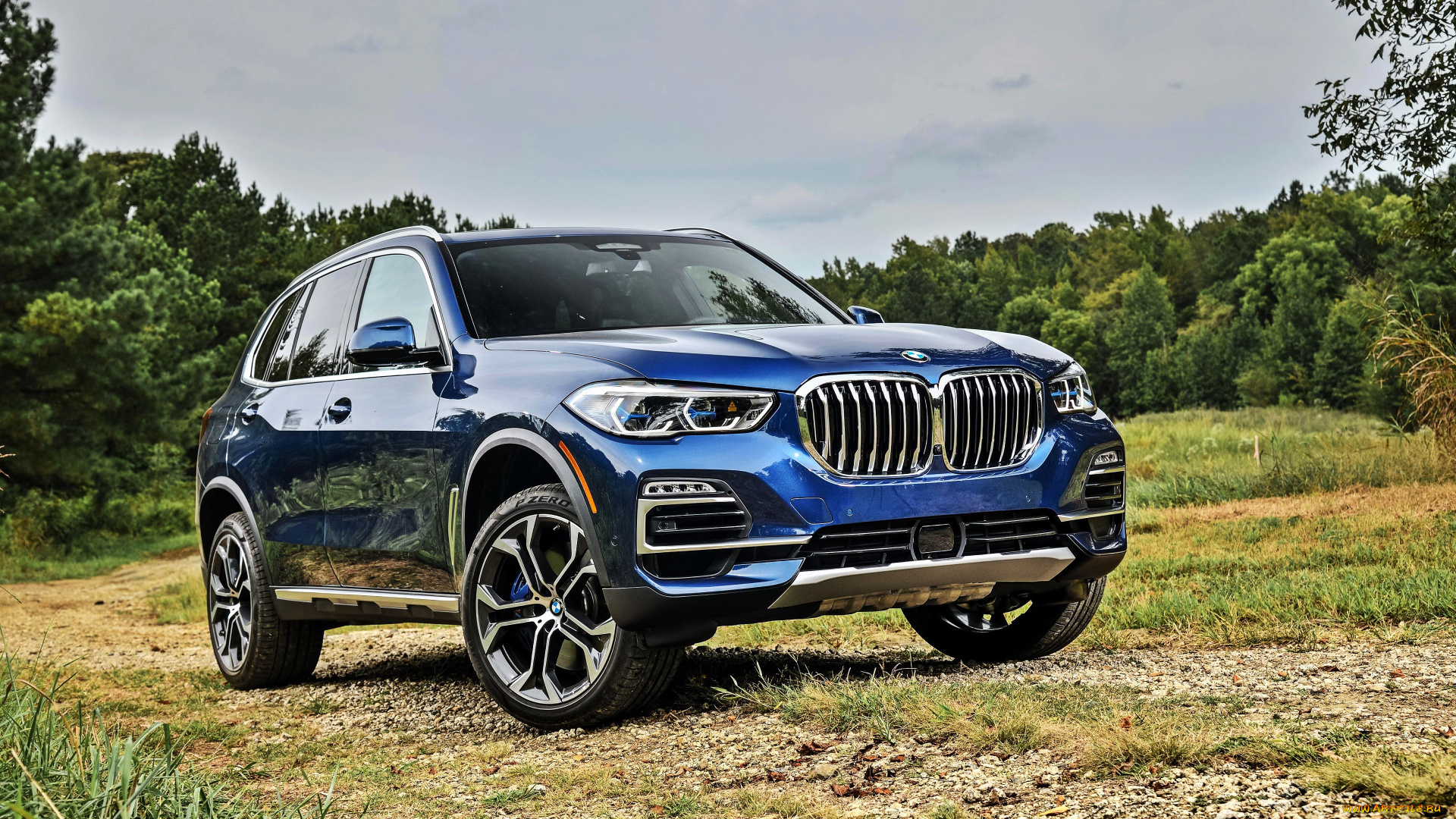 bmw, x5, 2018, автомобили, bmw, синий, поляна, лес