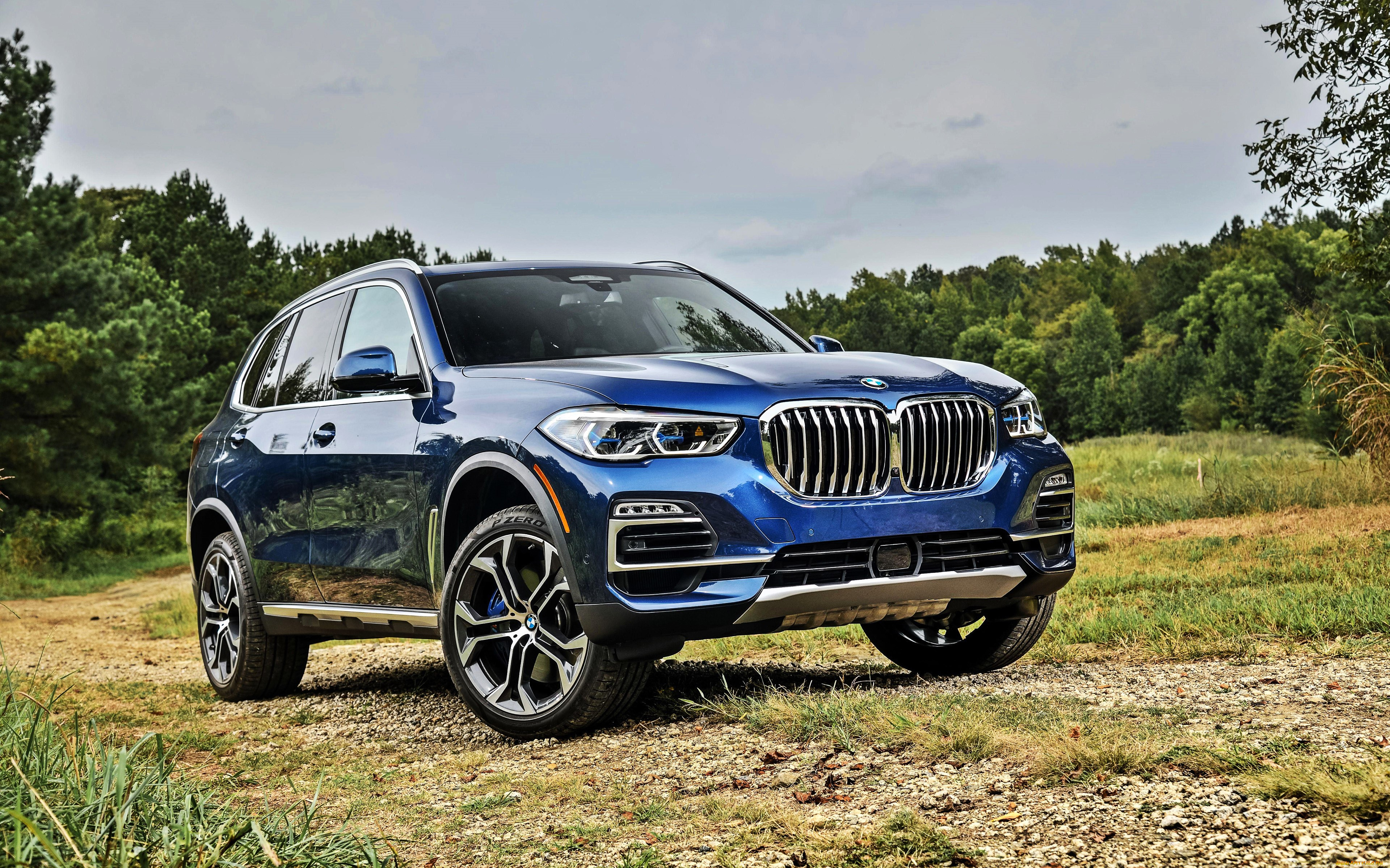 bmw, x5, 2018, автомобили, bmw, синий, поляна, лес