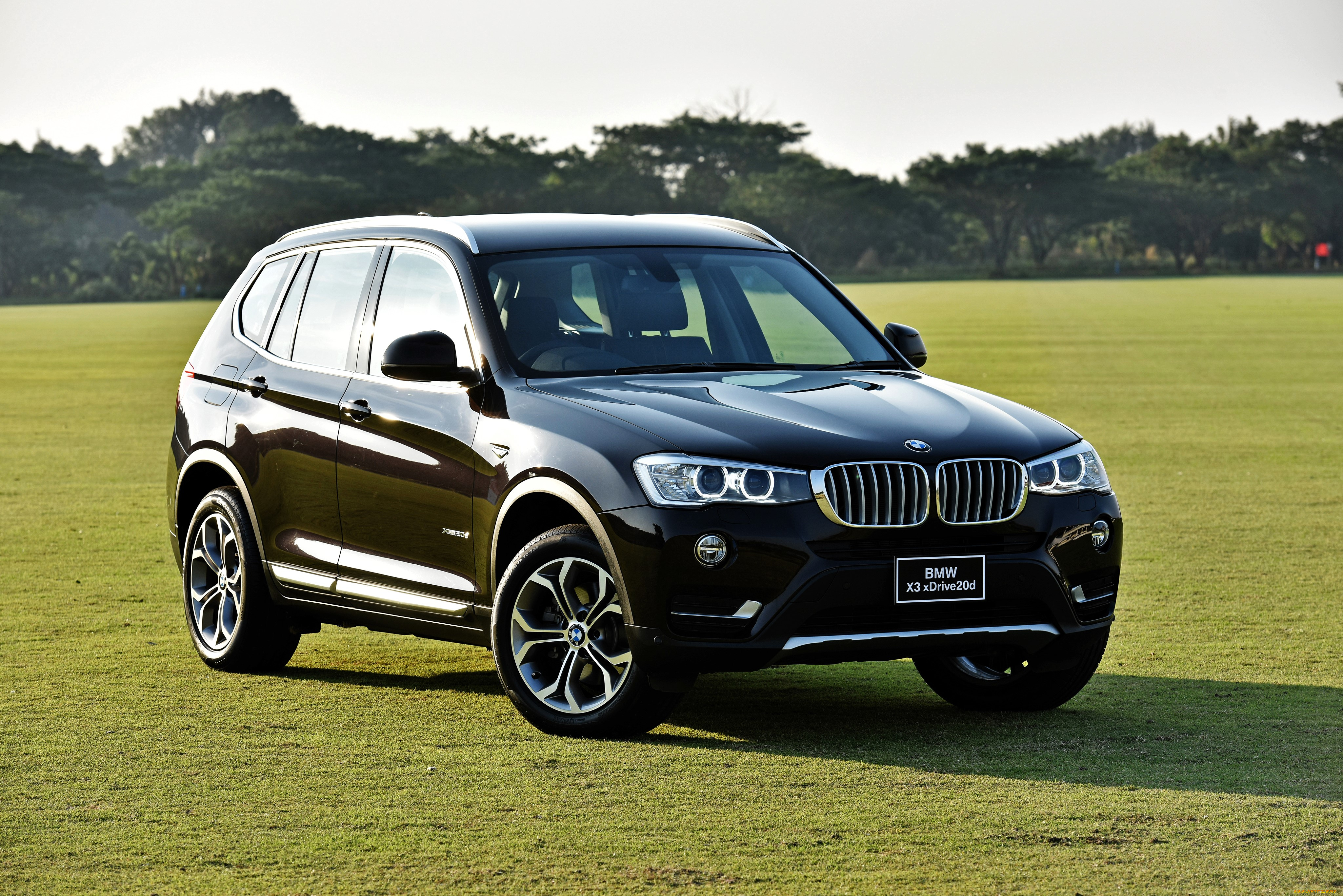 bmw, x3, автомобили, bmw, черный, лужайка