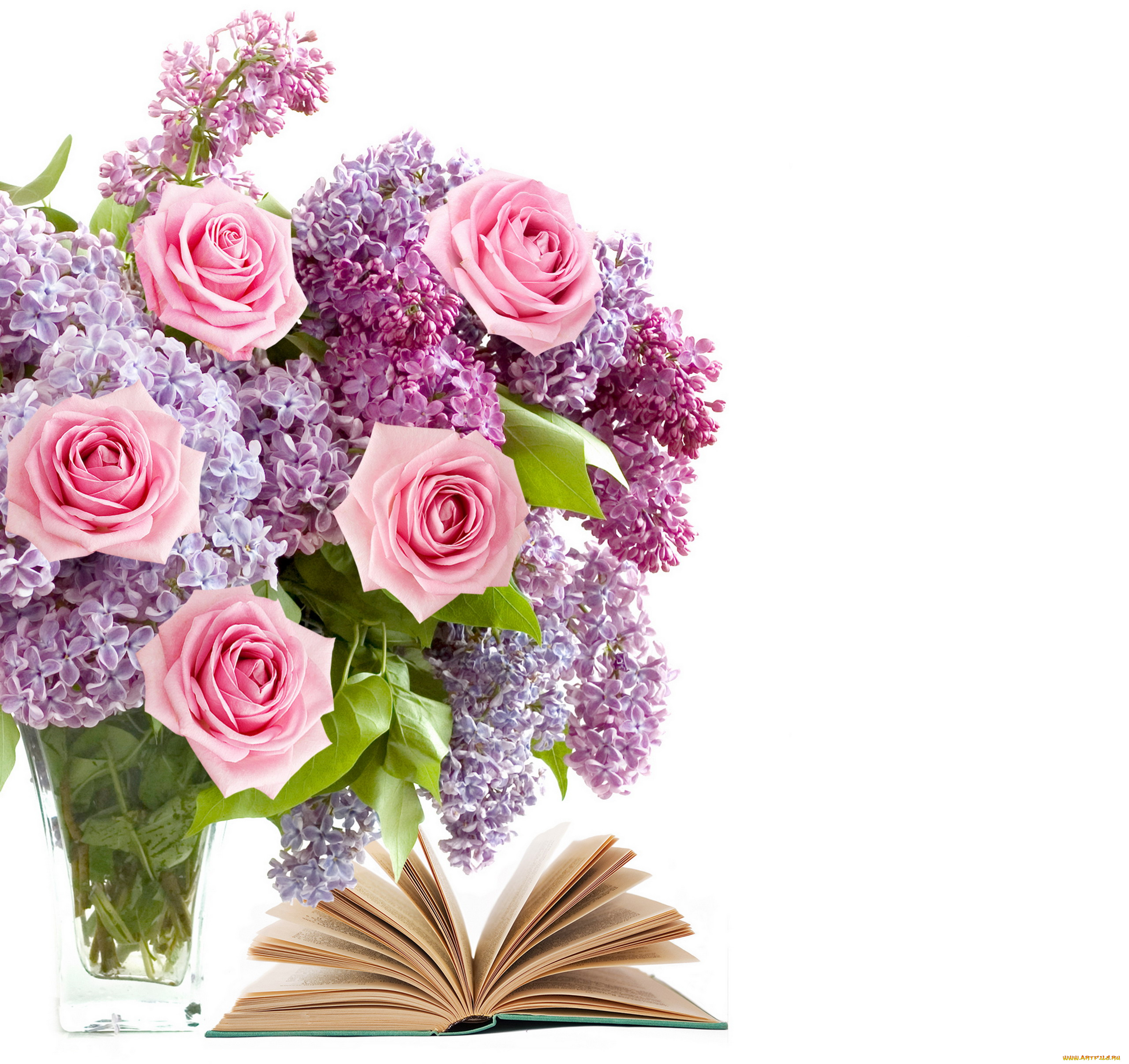цветы, букеты, композиции, букет, розы, сипень, книга