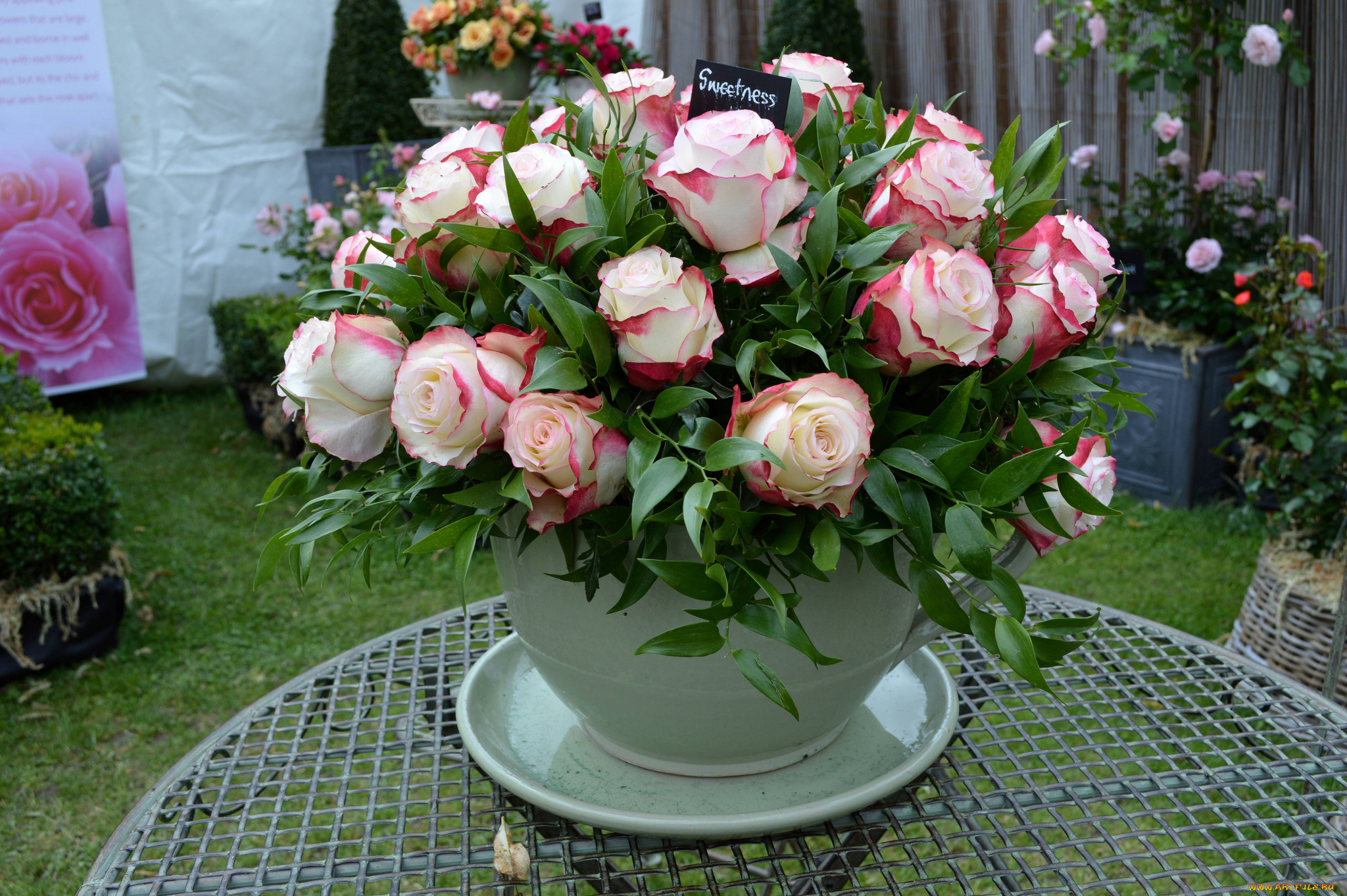 цветы, розы, cup, чашка, rose, bouquet, flowers, букет