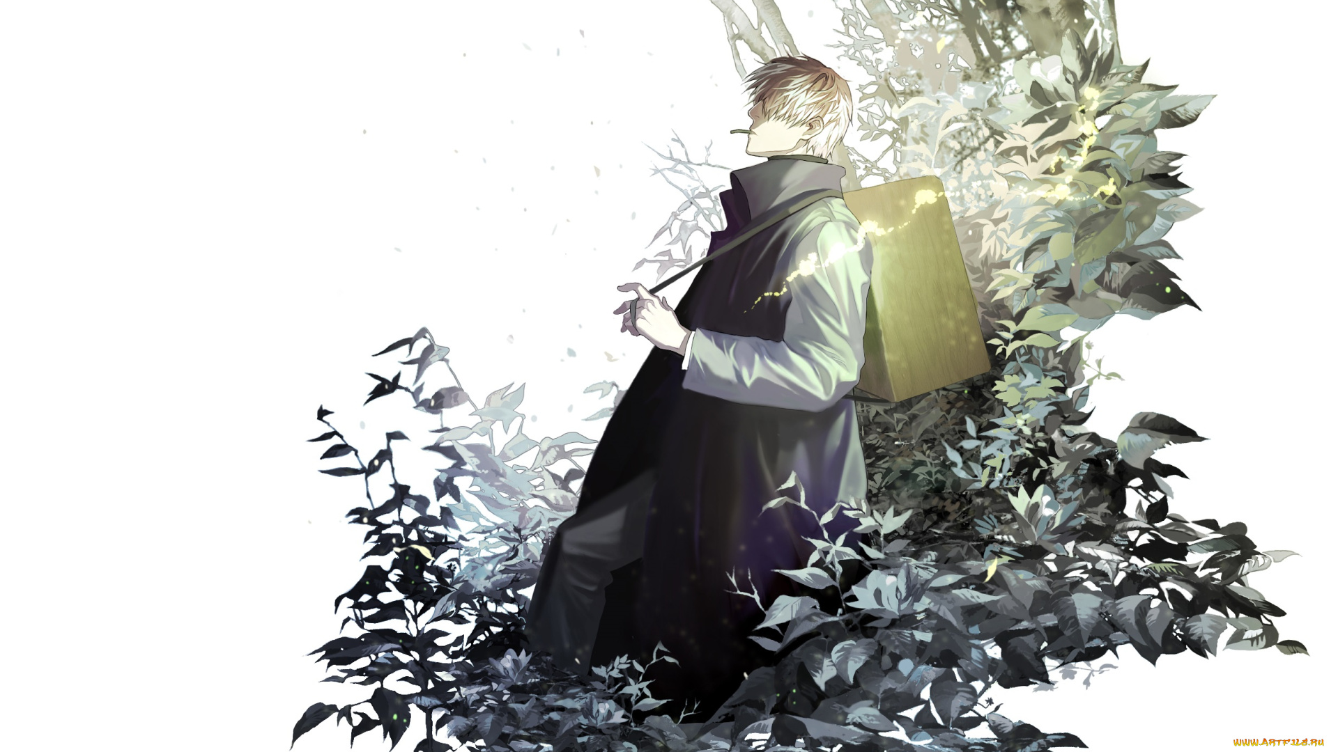 аниме, mushishi, ginko