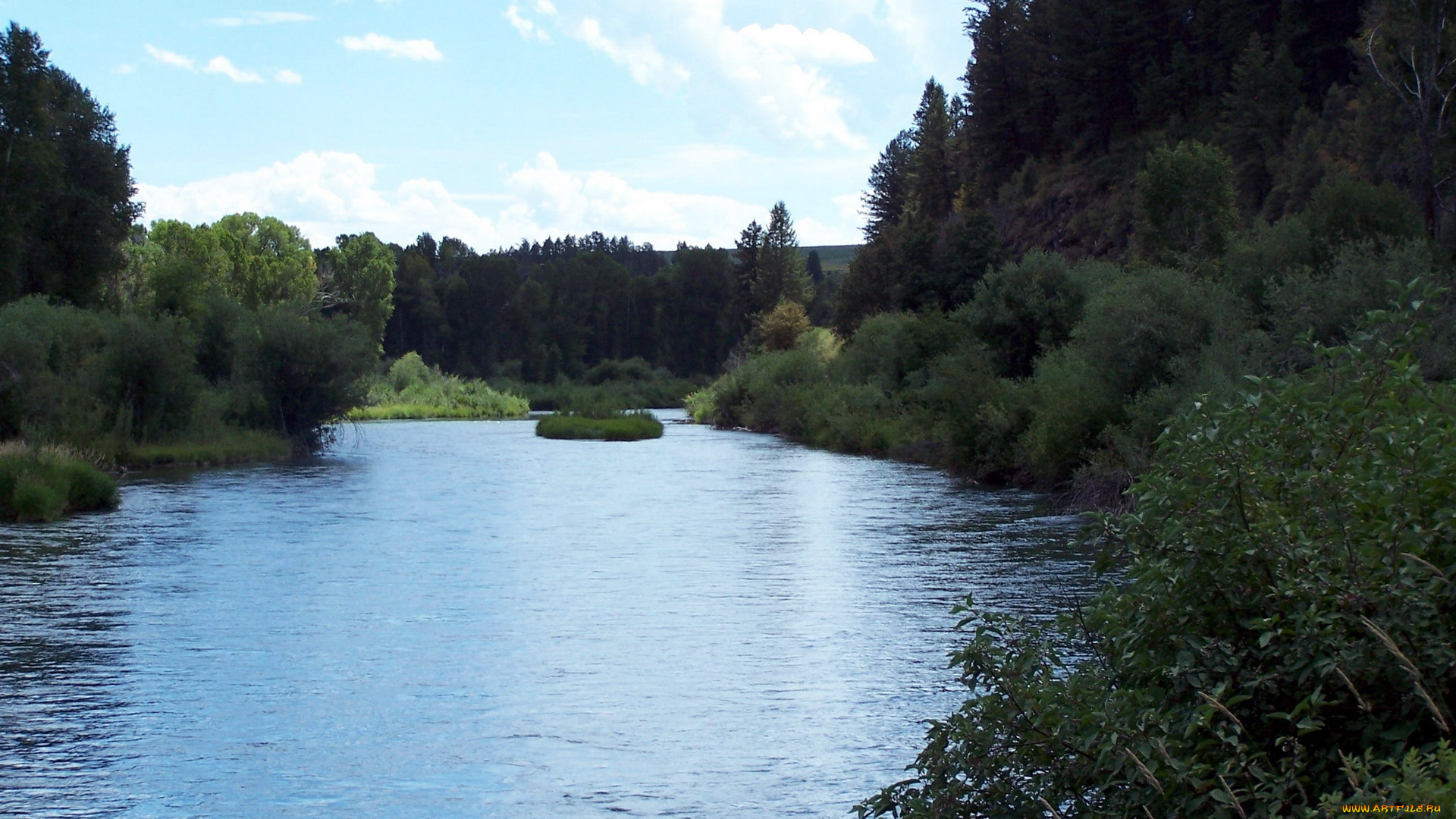 природа, реки, озера, лес, вода, деревья