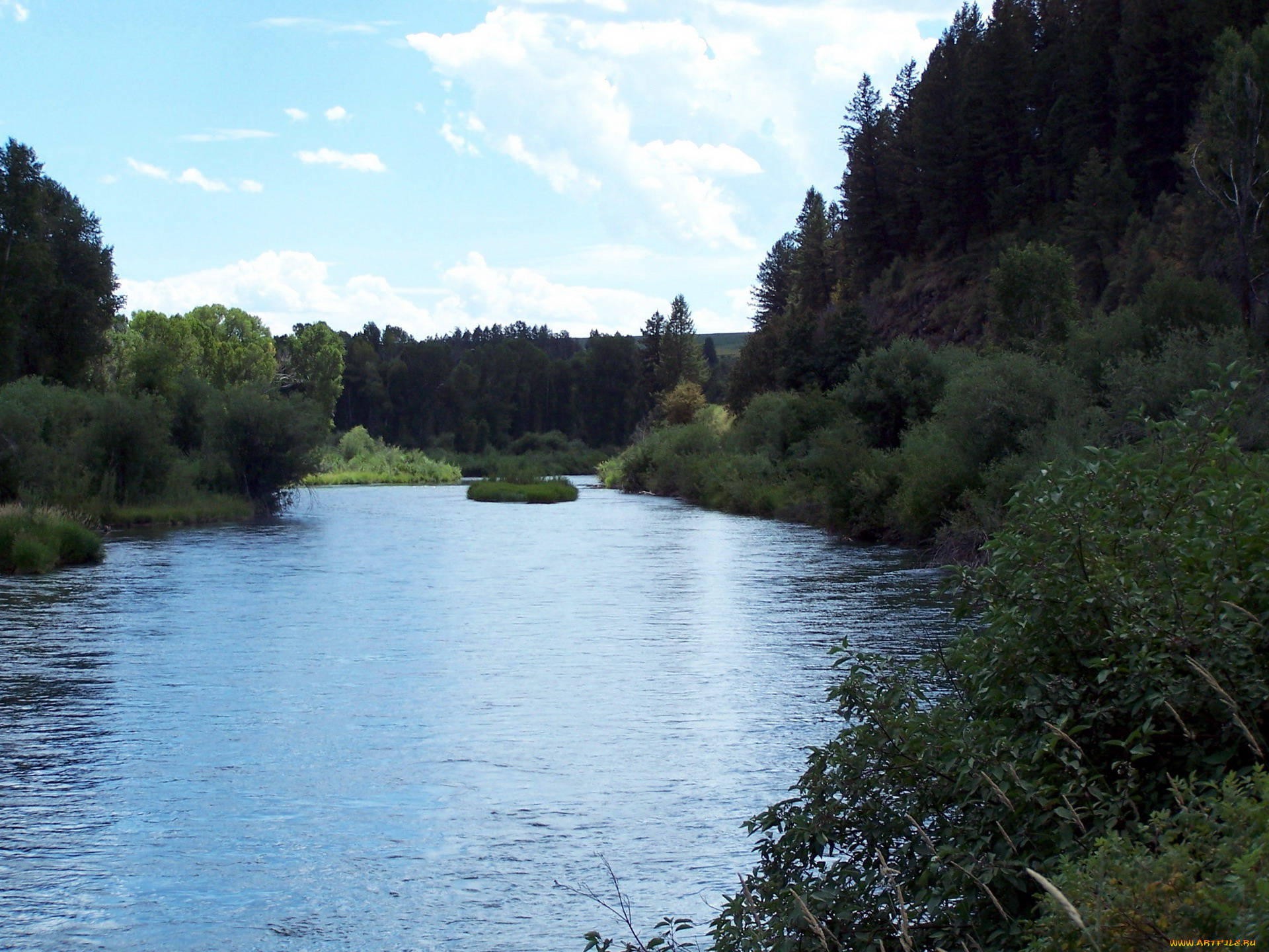 природа, реки, озера, лес, вода, деревья