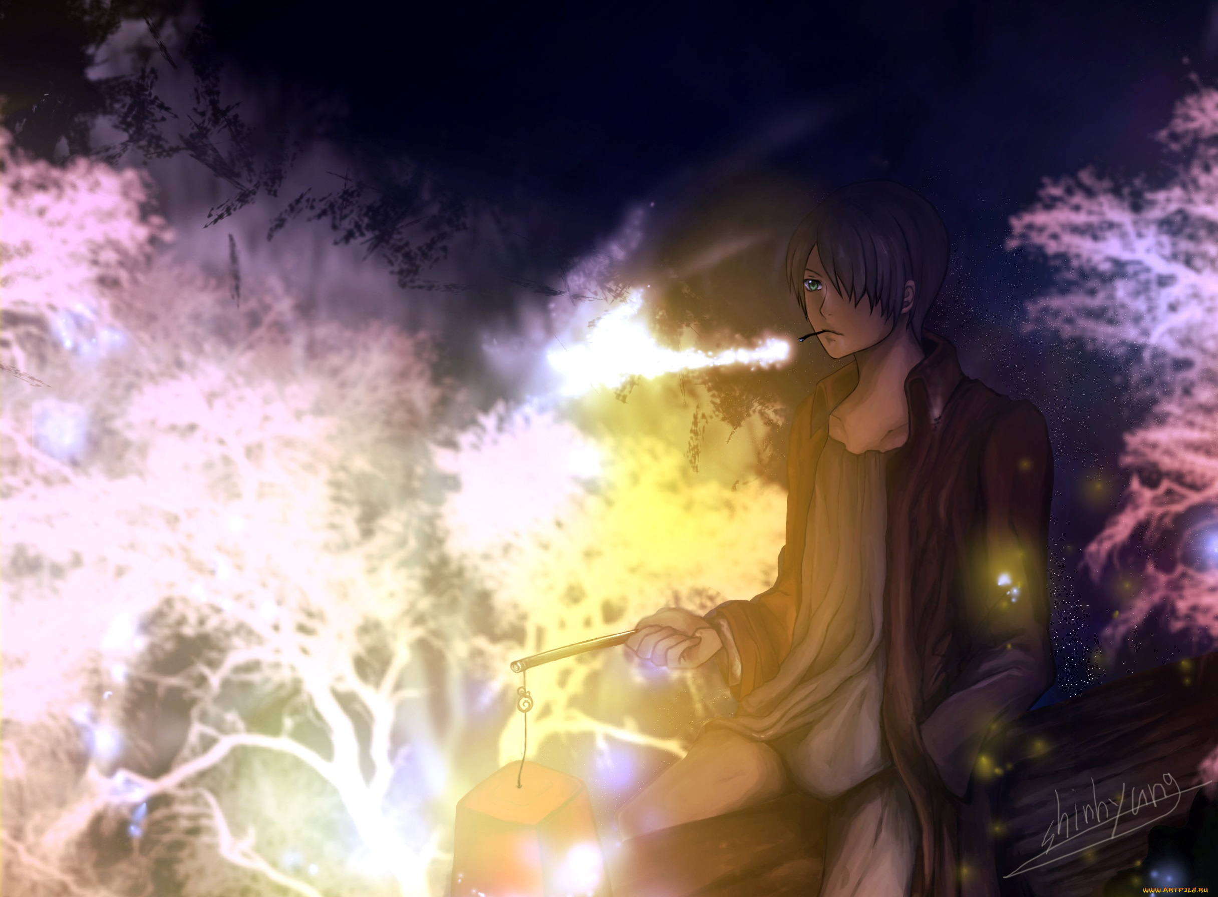 аниме, mushishi, ginko