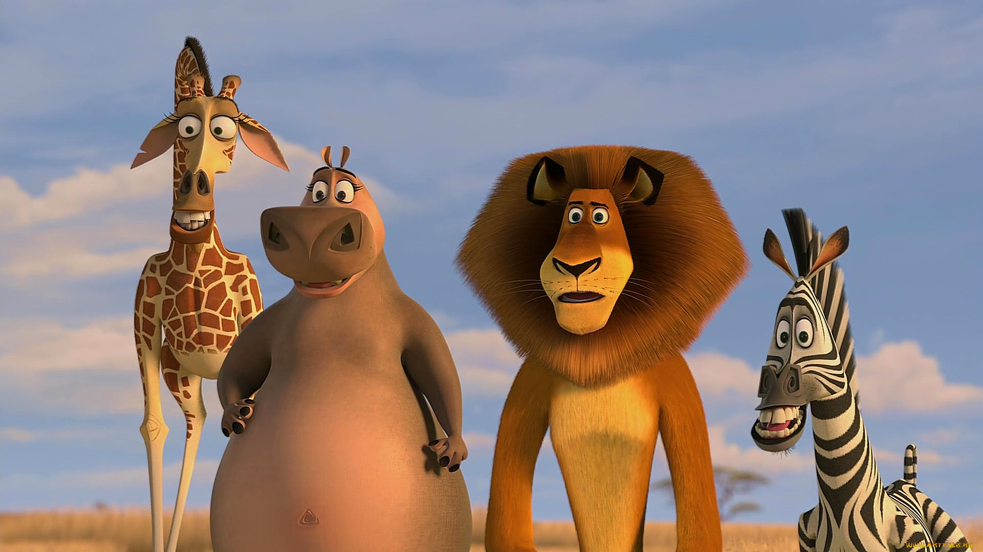 мультфильмы, madagascar, , escape, 2, africa, зебра, лев, бегемот, жираф