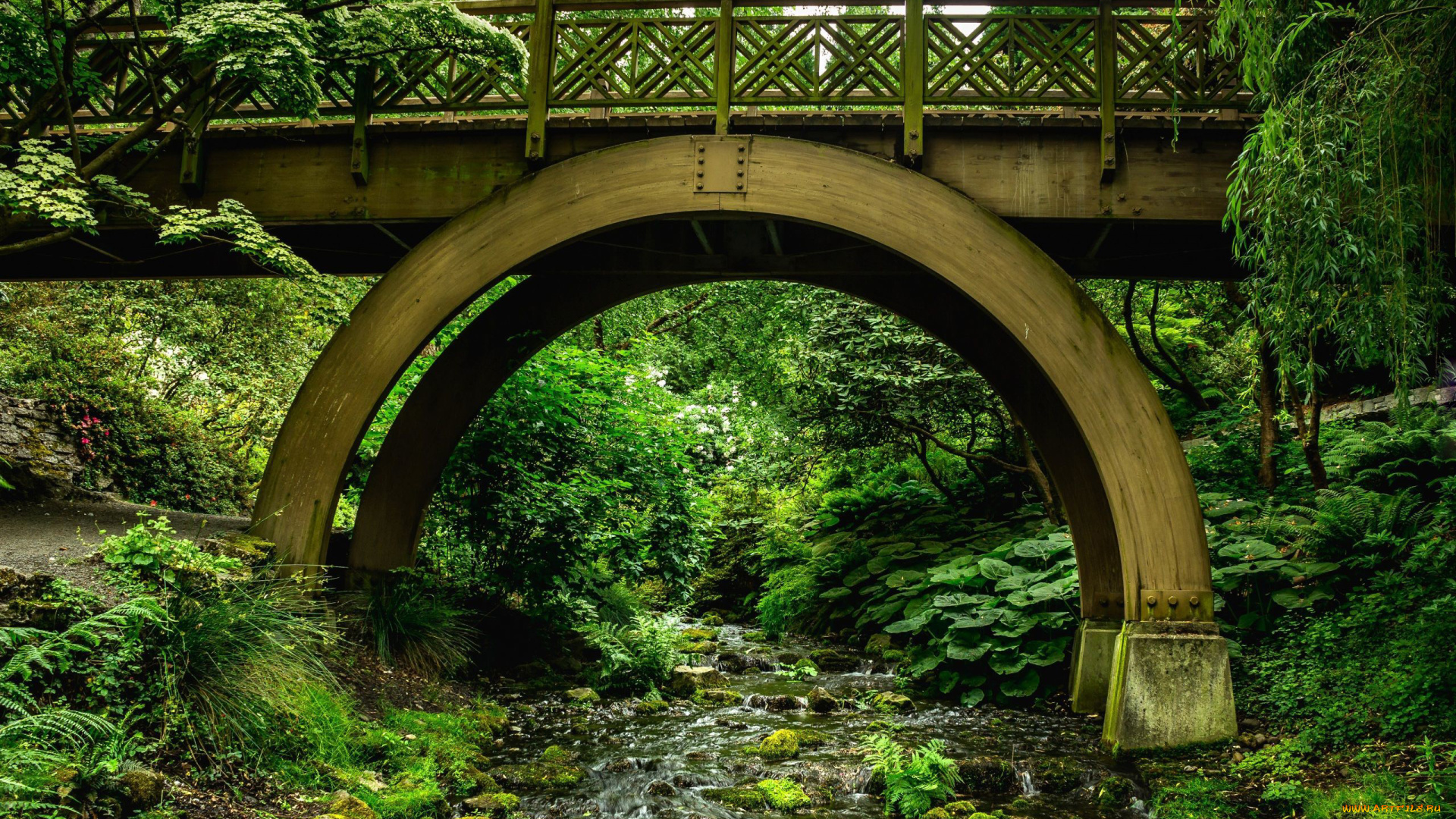 природа, парк, мост, ручей