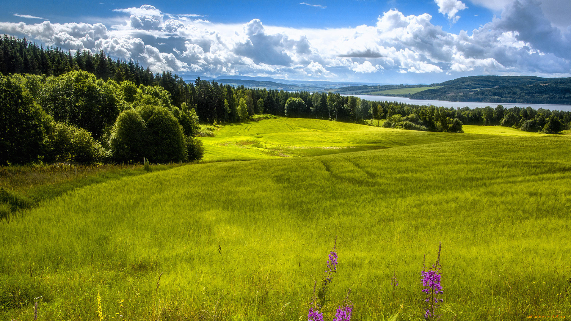 природа, пейзажи, долина, рингсакер, норвегия
