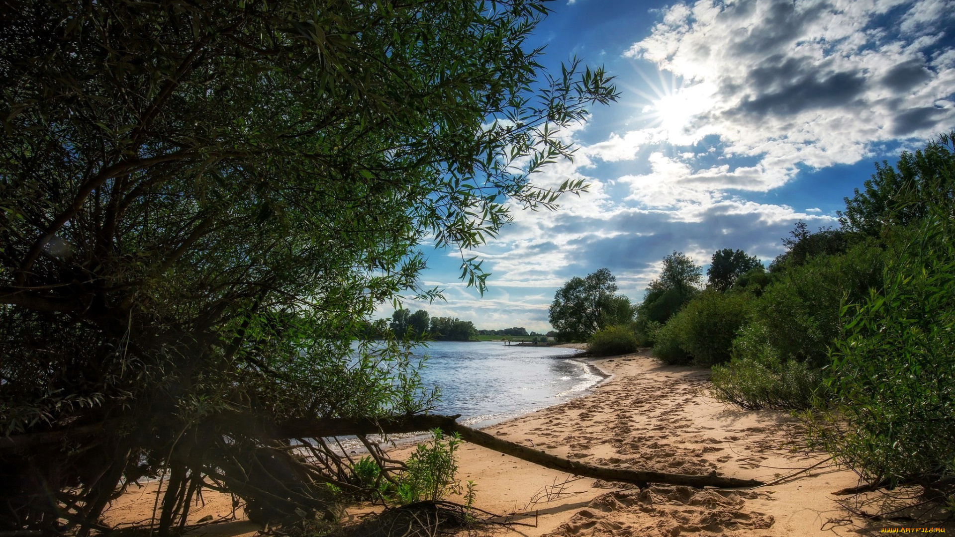 природа, реки, озера, деревья, берег, песок, река