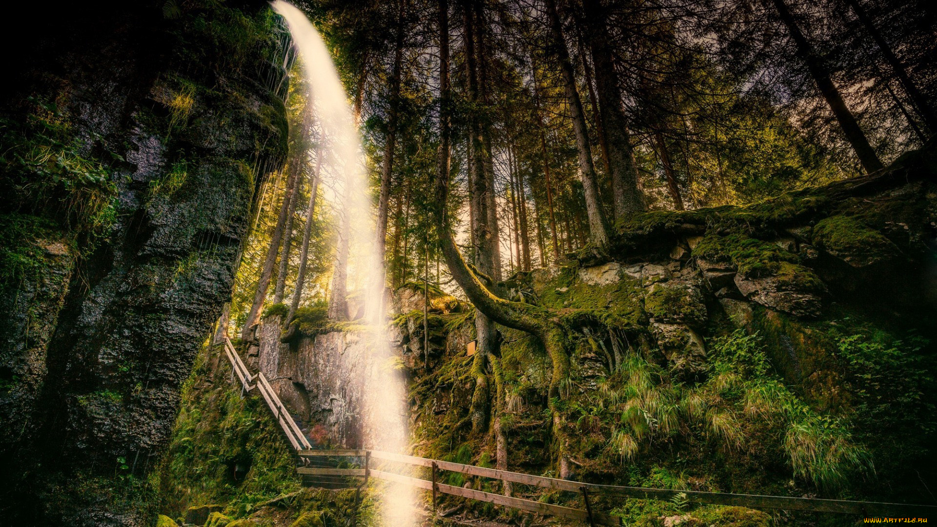 природа, водопады, лестница, поток, лес, водопад